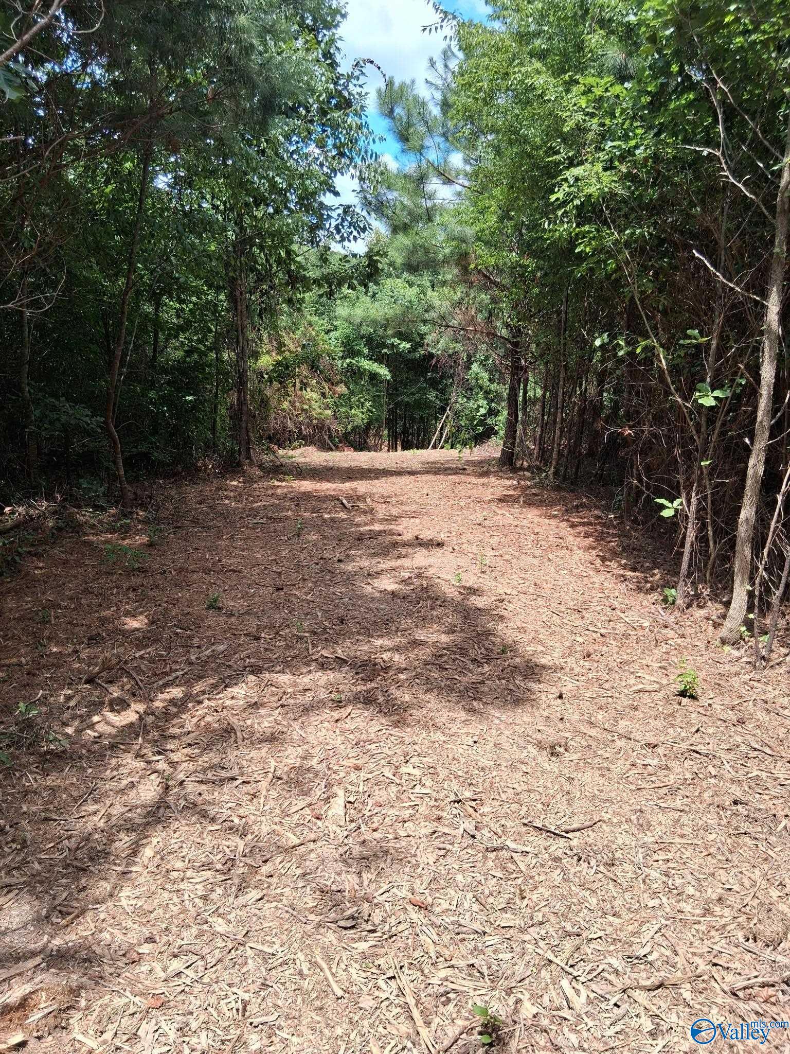 14 Acres Wills Creek Road
