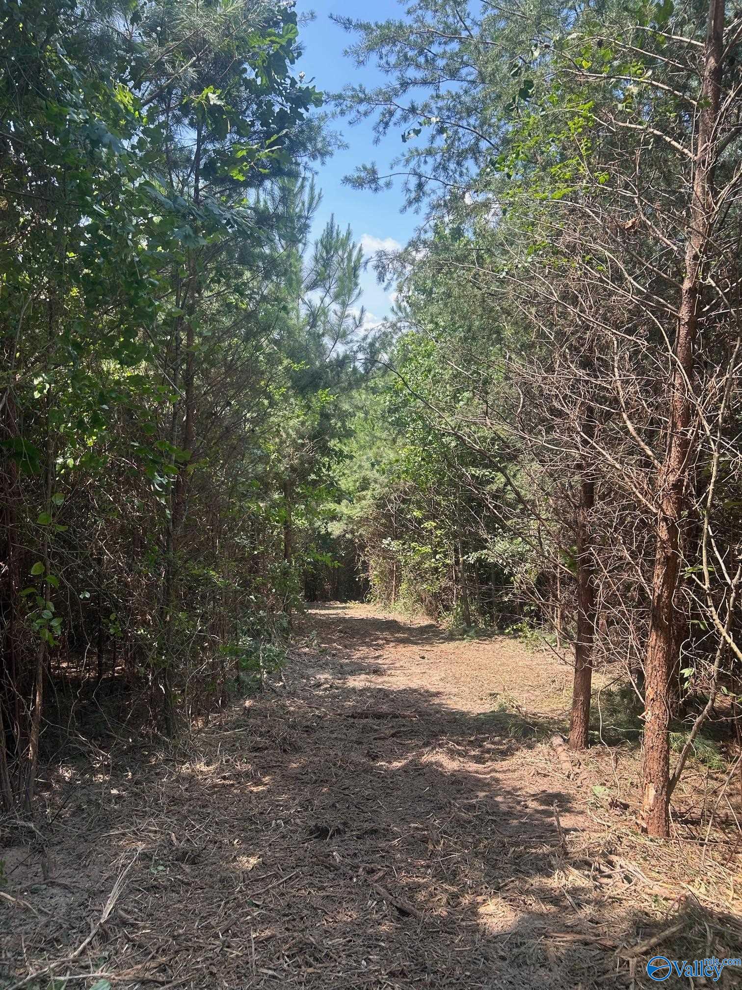 14 Acres Wills Creek Road