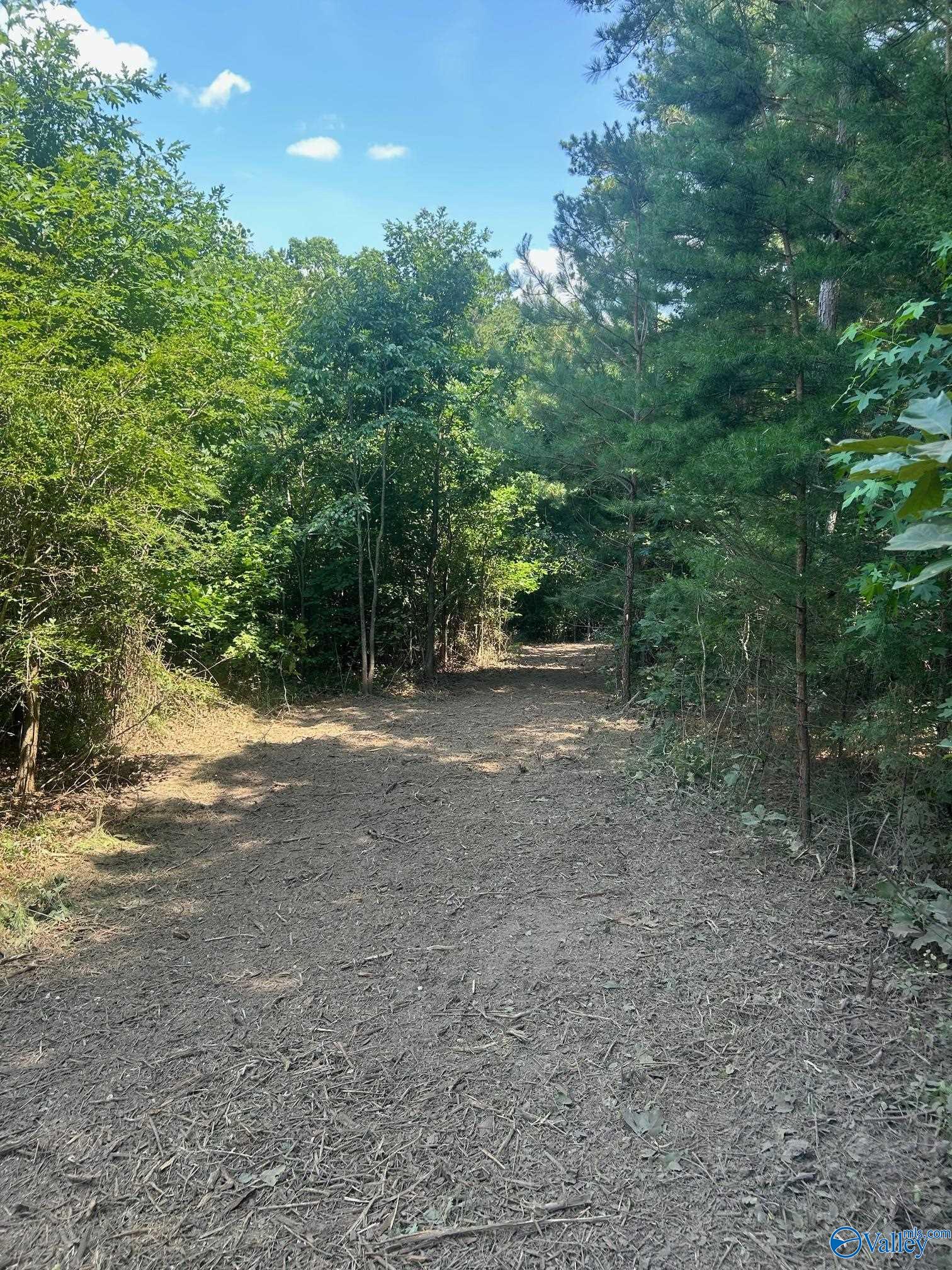 14 Acres Wills Creek Road