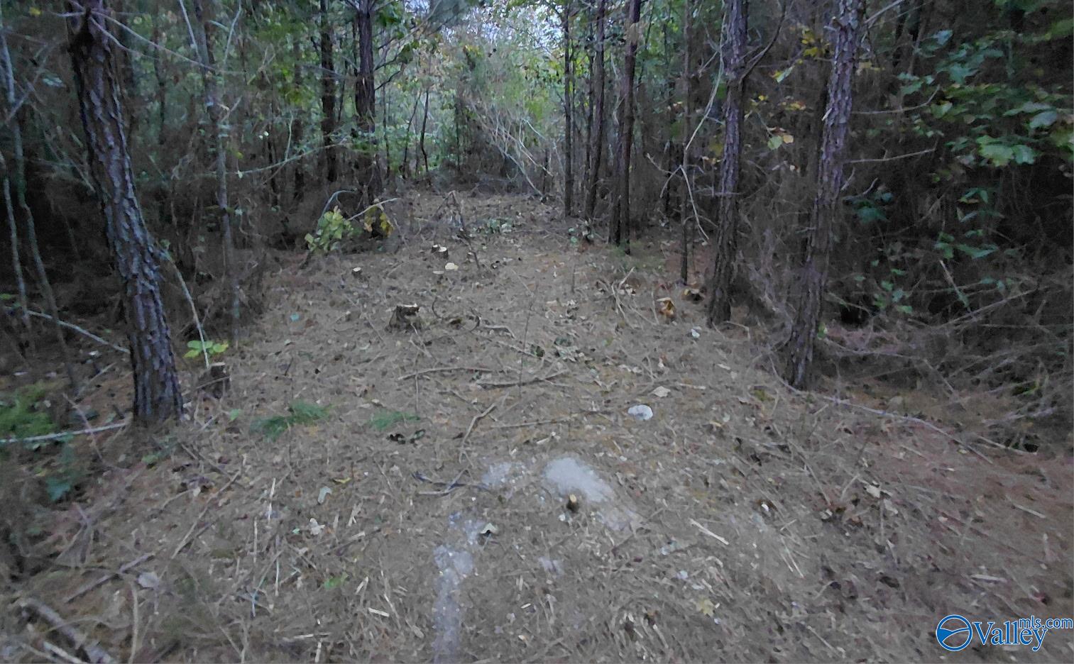 14 Acres Wills Creek Road