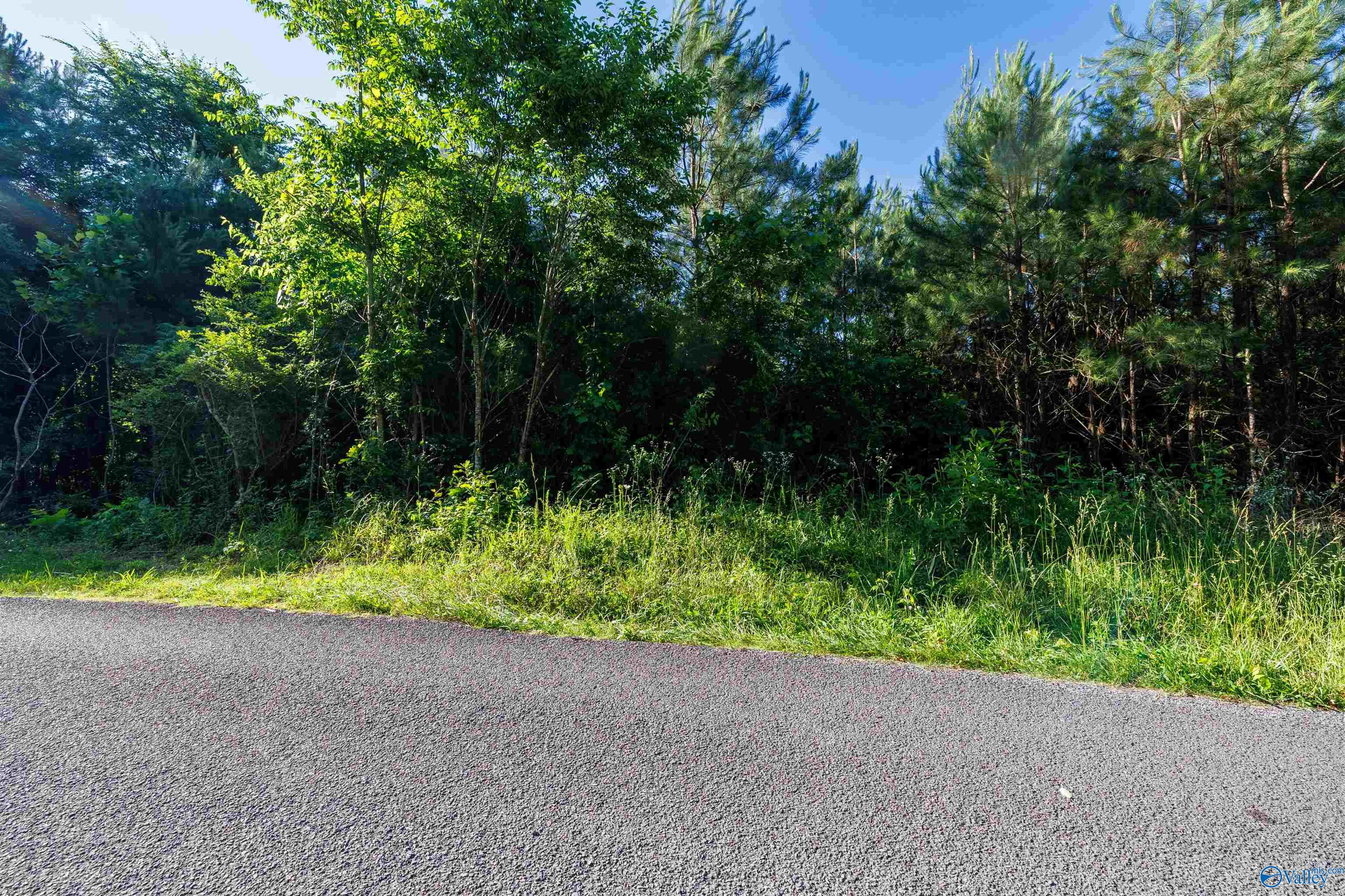14 Acres Wills Creek Road