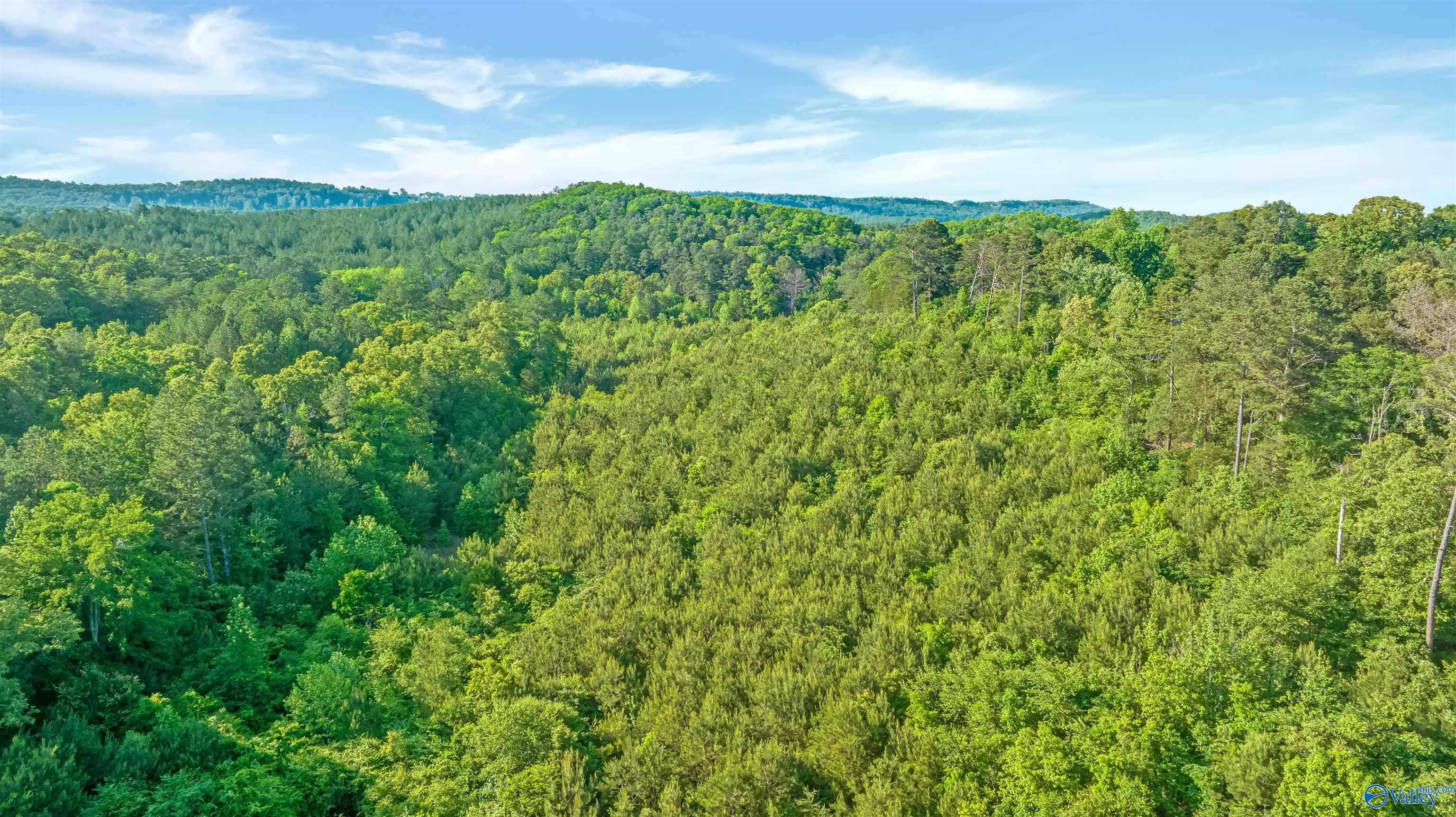 14 Acres Wills Creek Road