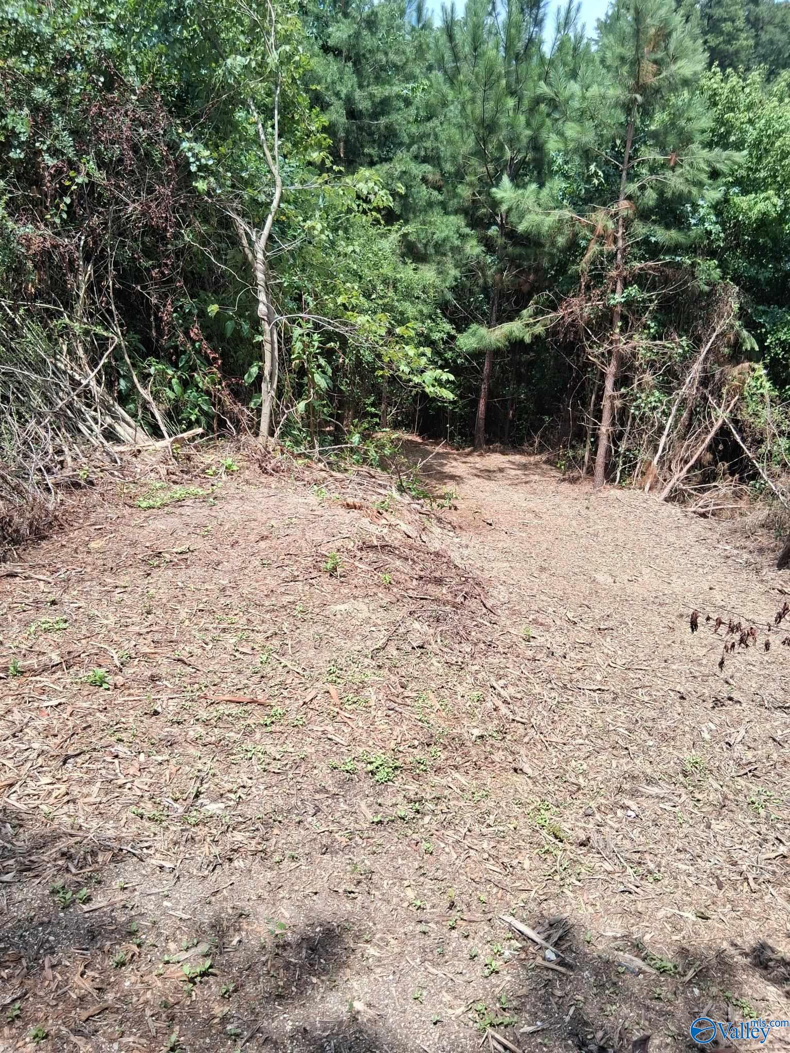 14 Acres Wills Creek Road