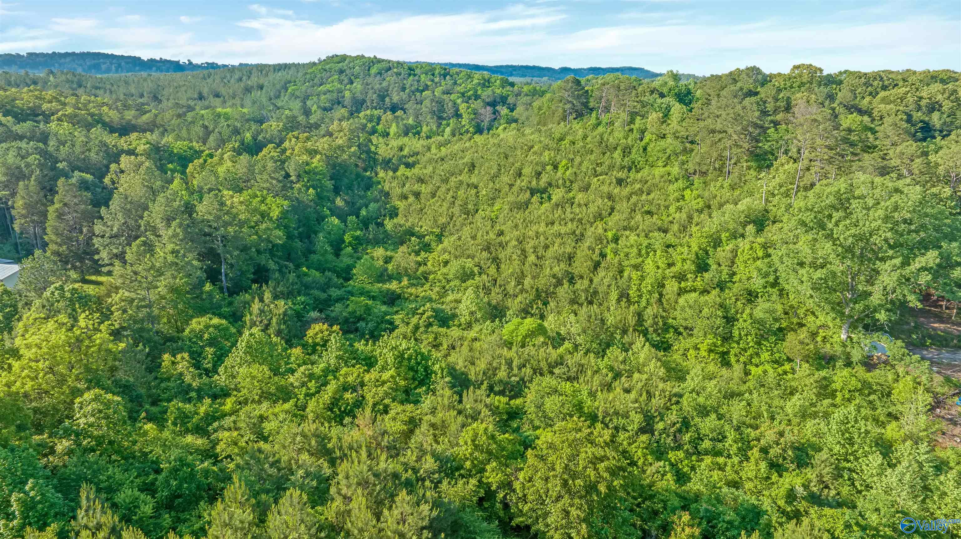 14 Acres Wills Creek Road