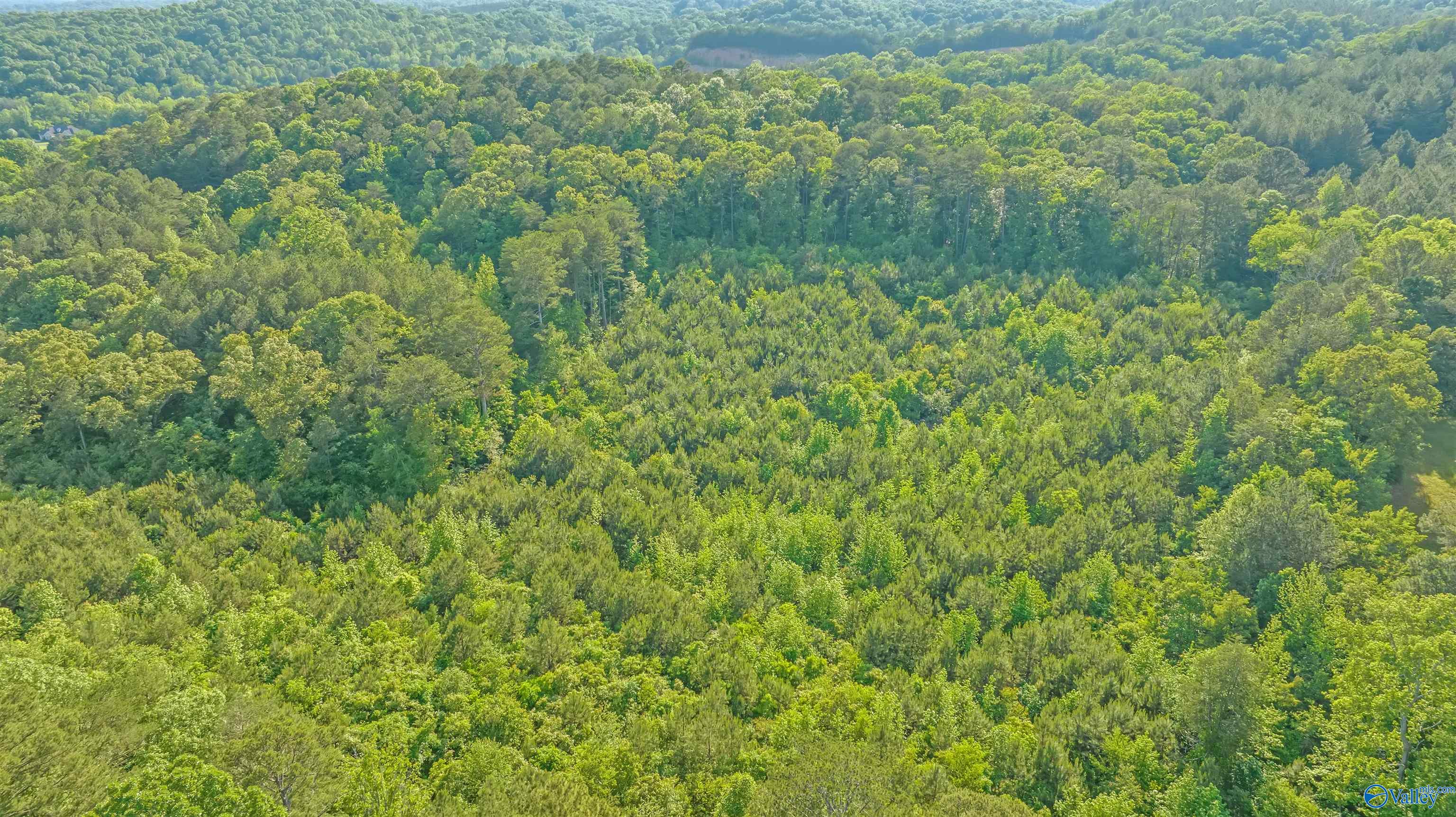14 Acres Wills Creek Road
