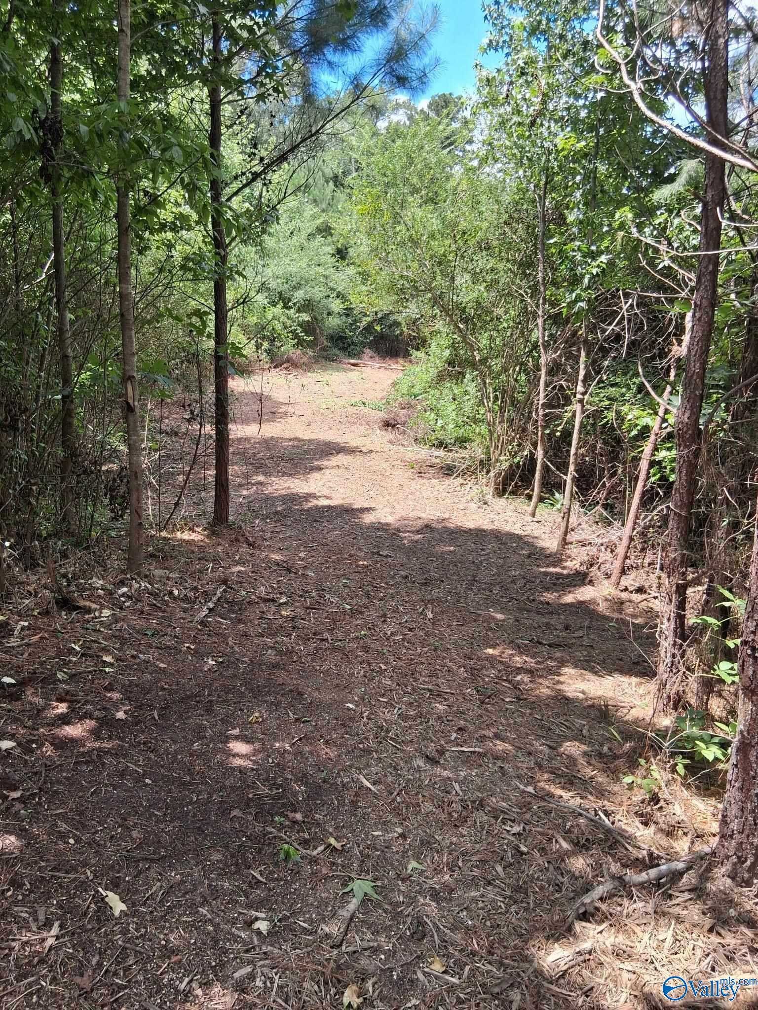 14 Acres Wills Creek Road