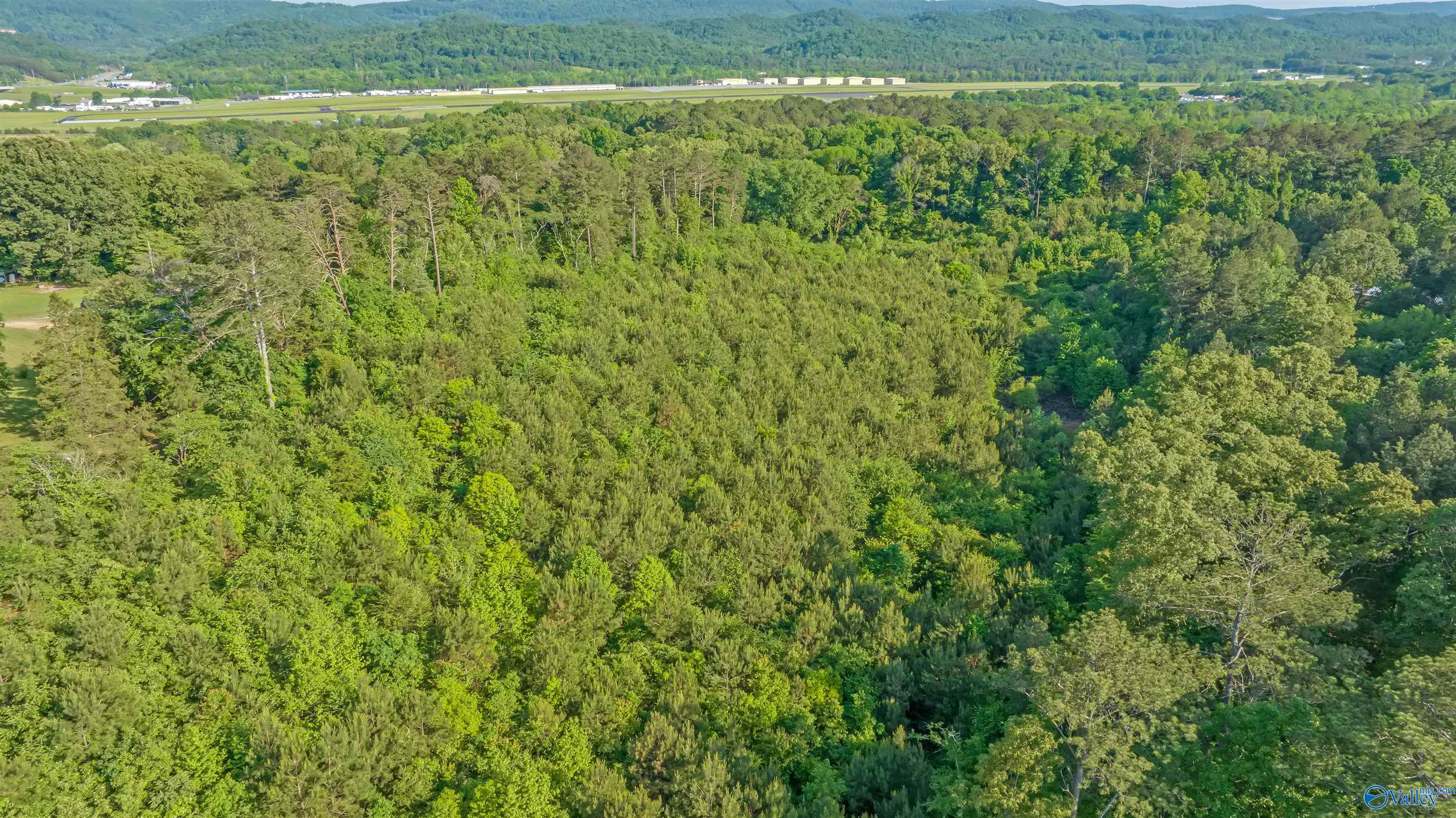 14 Acres Wills Creek Road