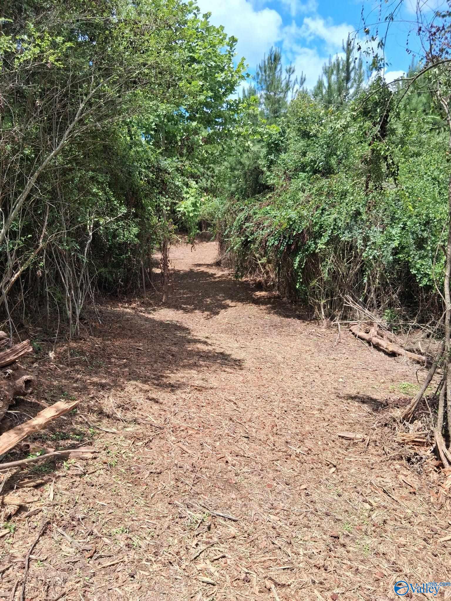 14 Acres Wills Creek Road