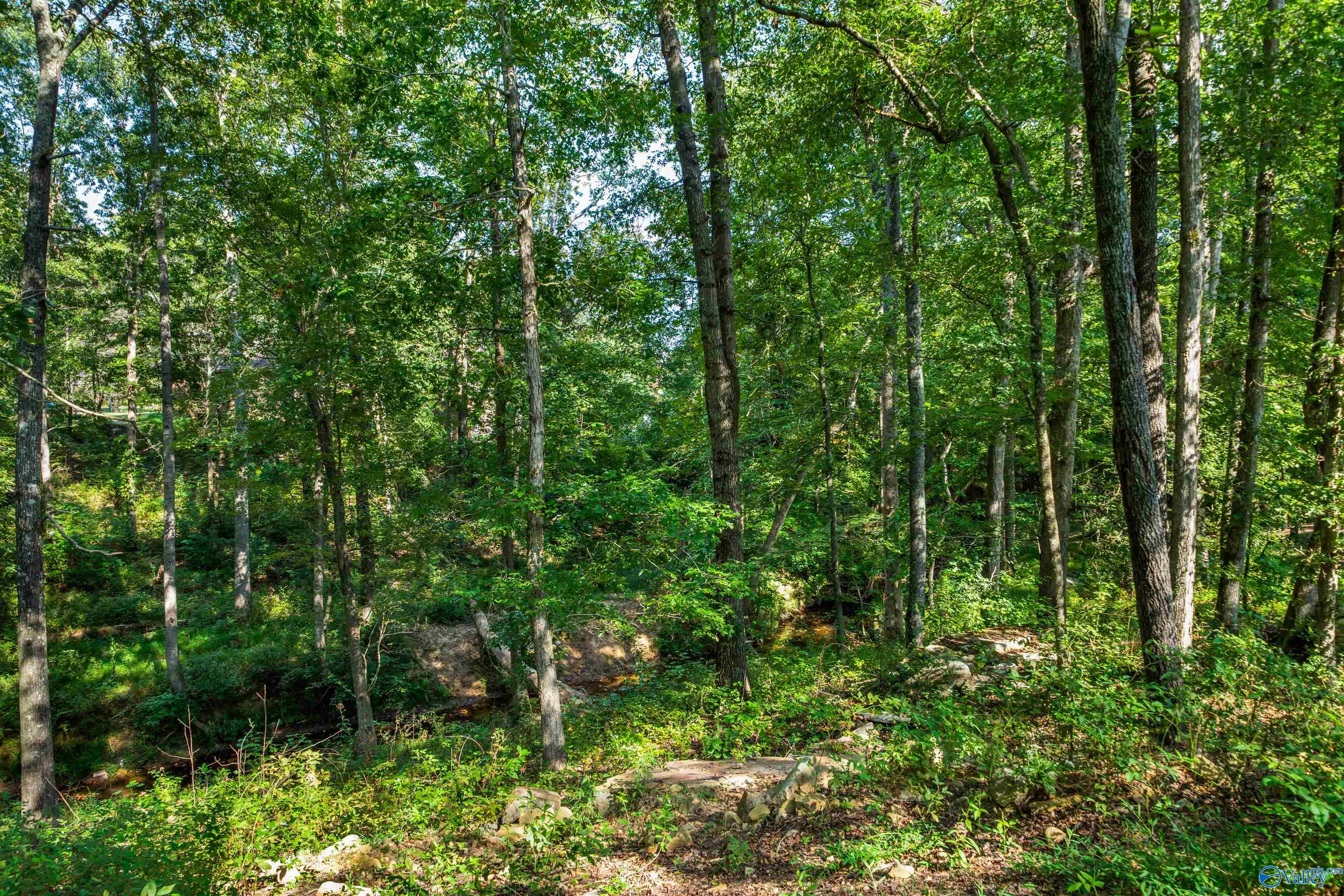 126 Caney Creek Drive