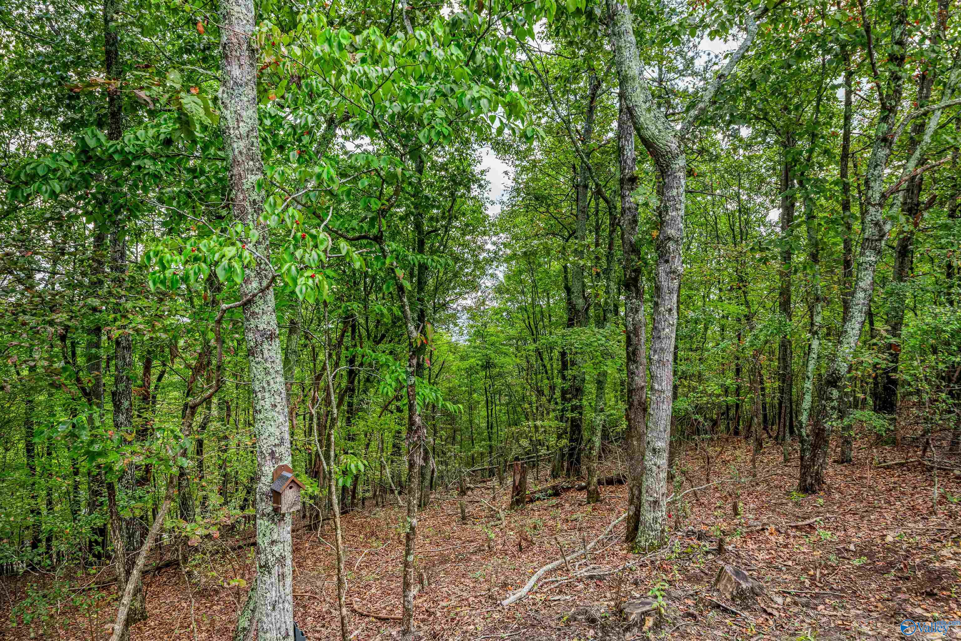 1600 County Road 103
