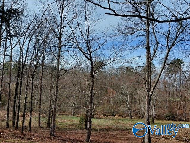 1115 County Road 358