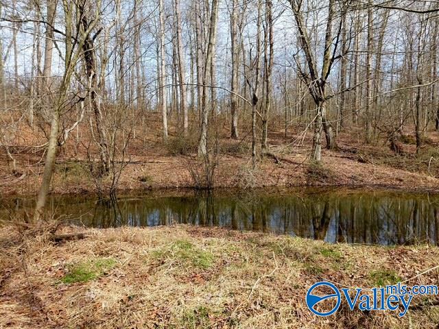 1115 County Road 358