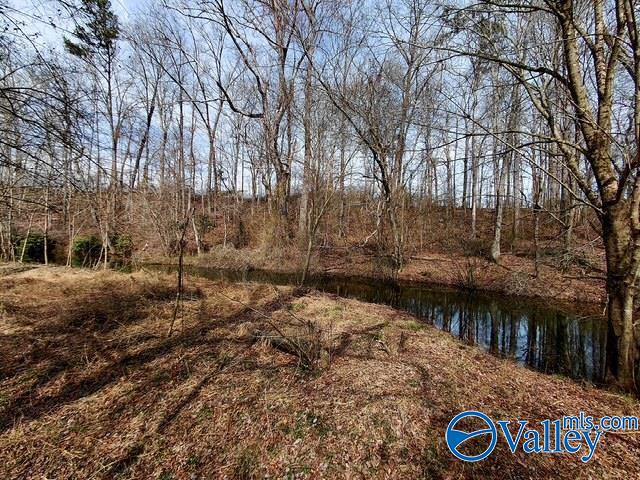 1115 County Road 358