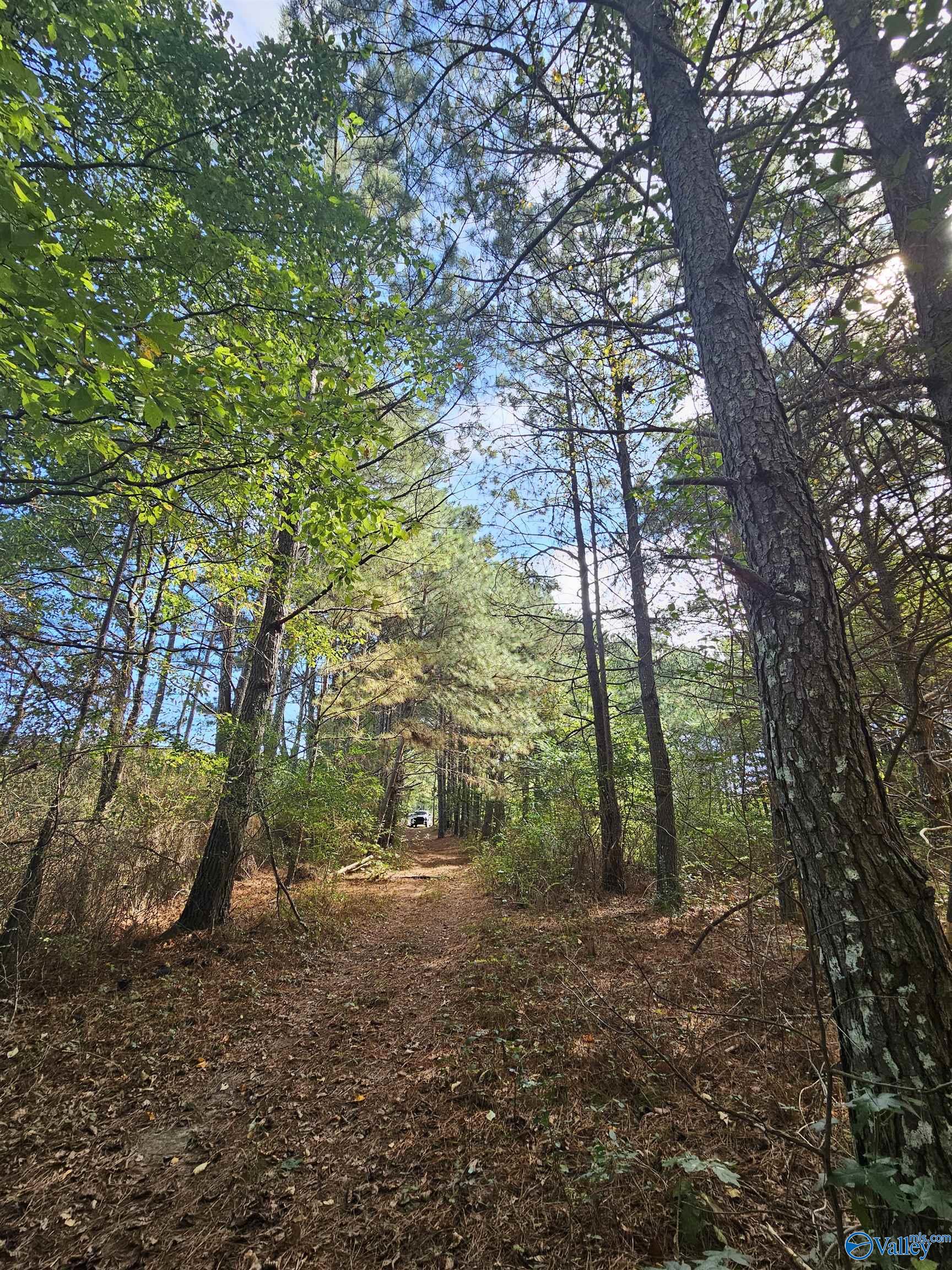 10739 County Road 103