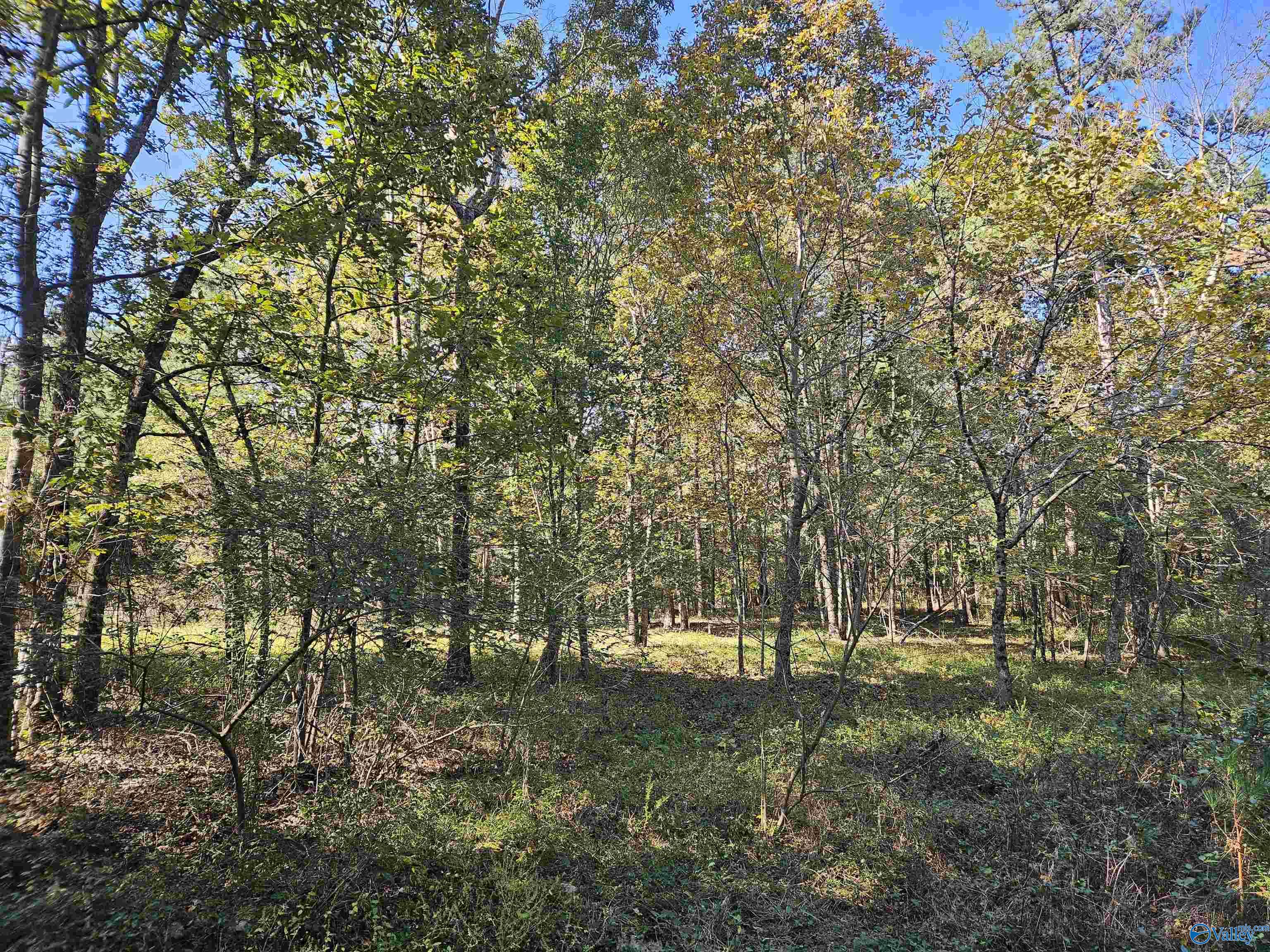10739 County Road 103
