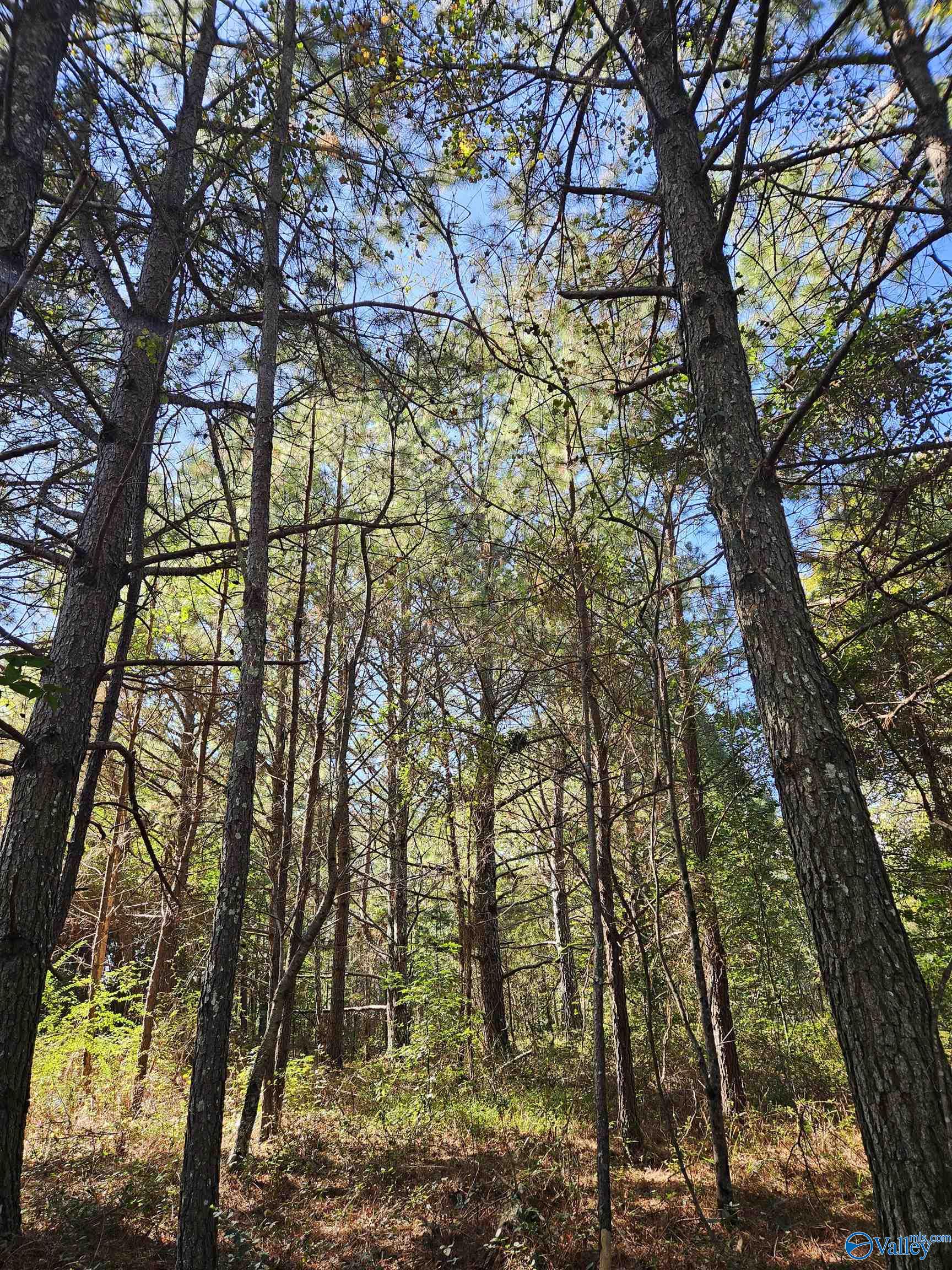 10739 County Road 103