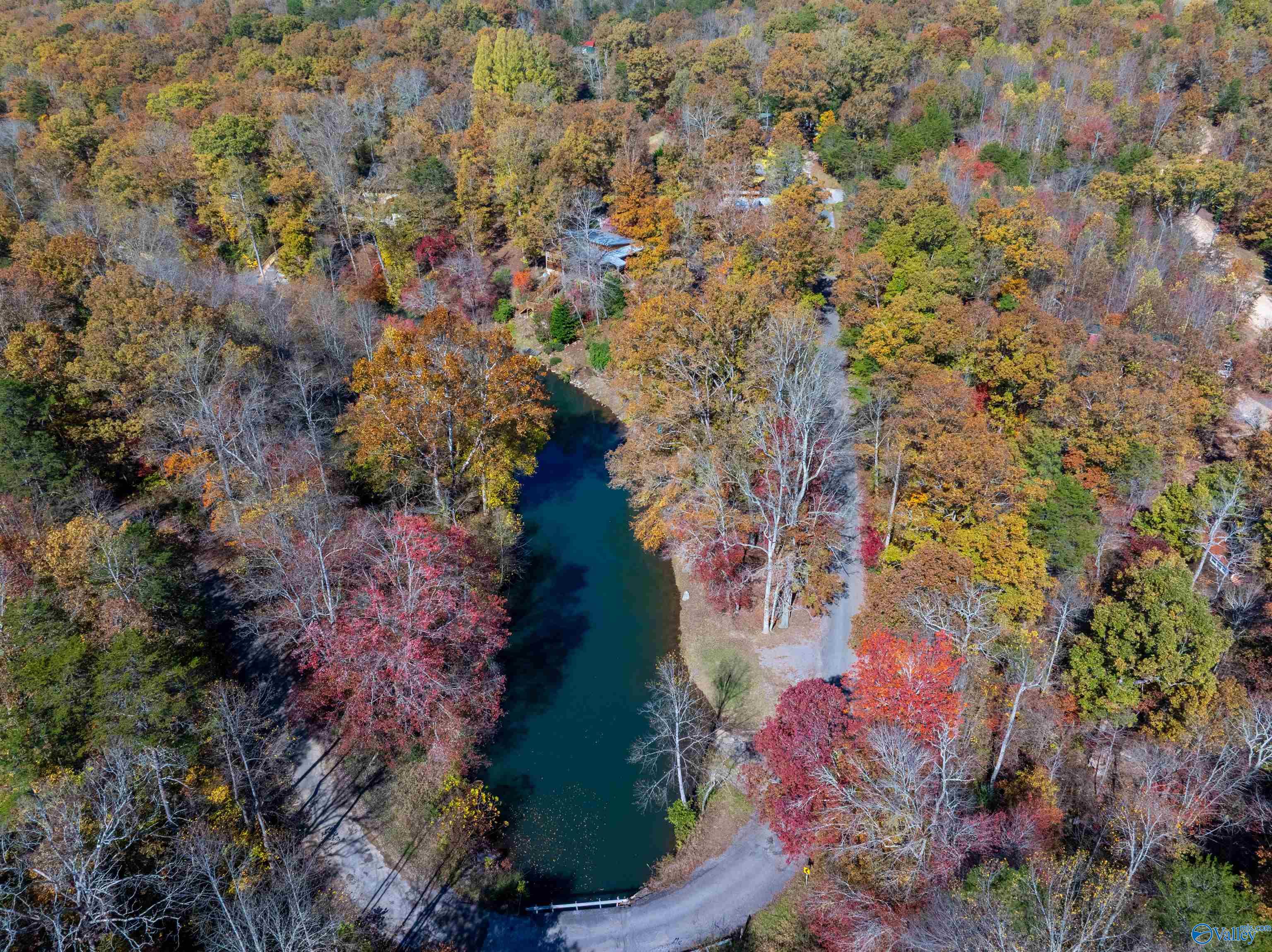 12561 County Road 103