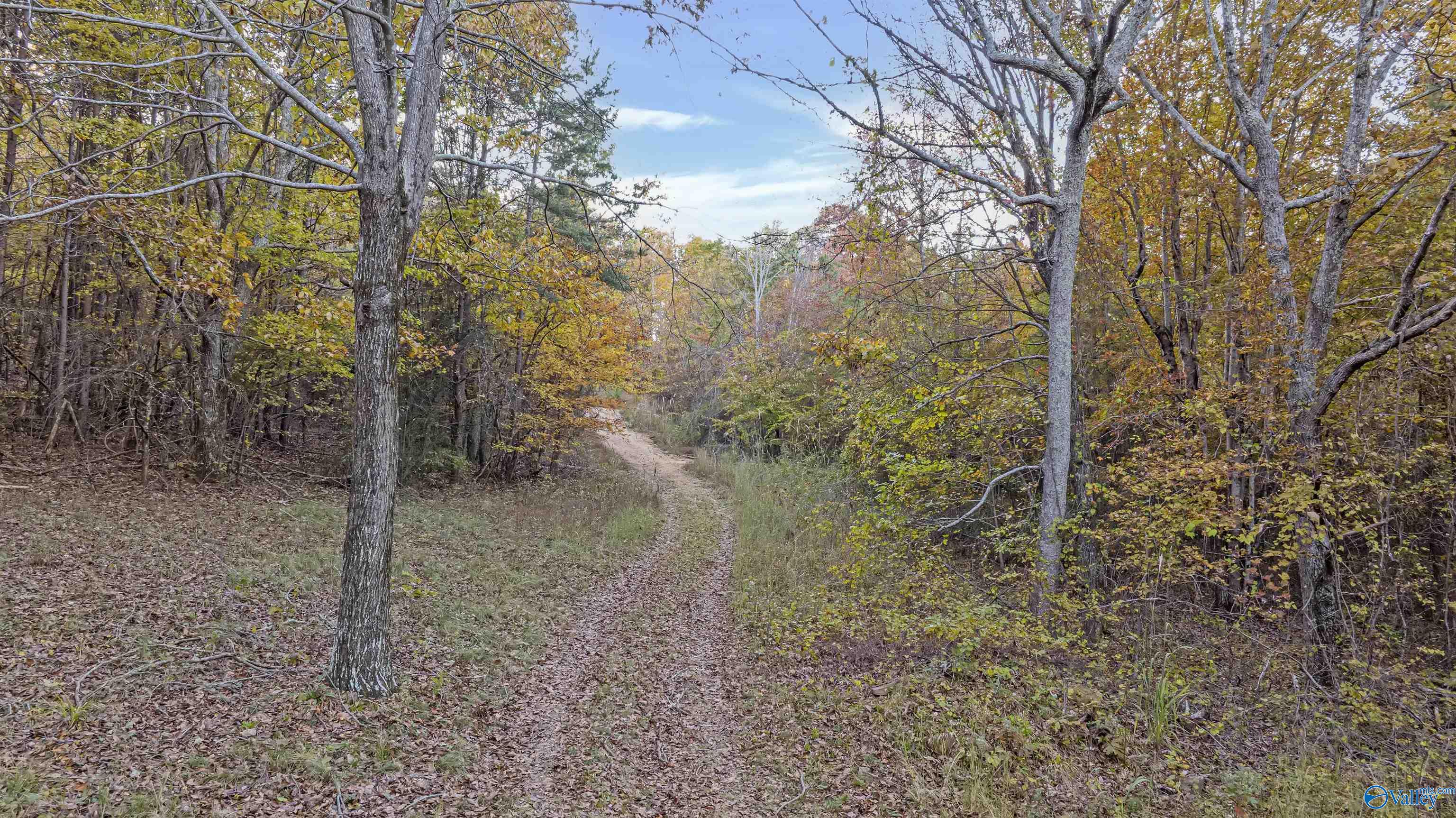 10.57 acres County Road 166