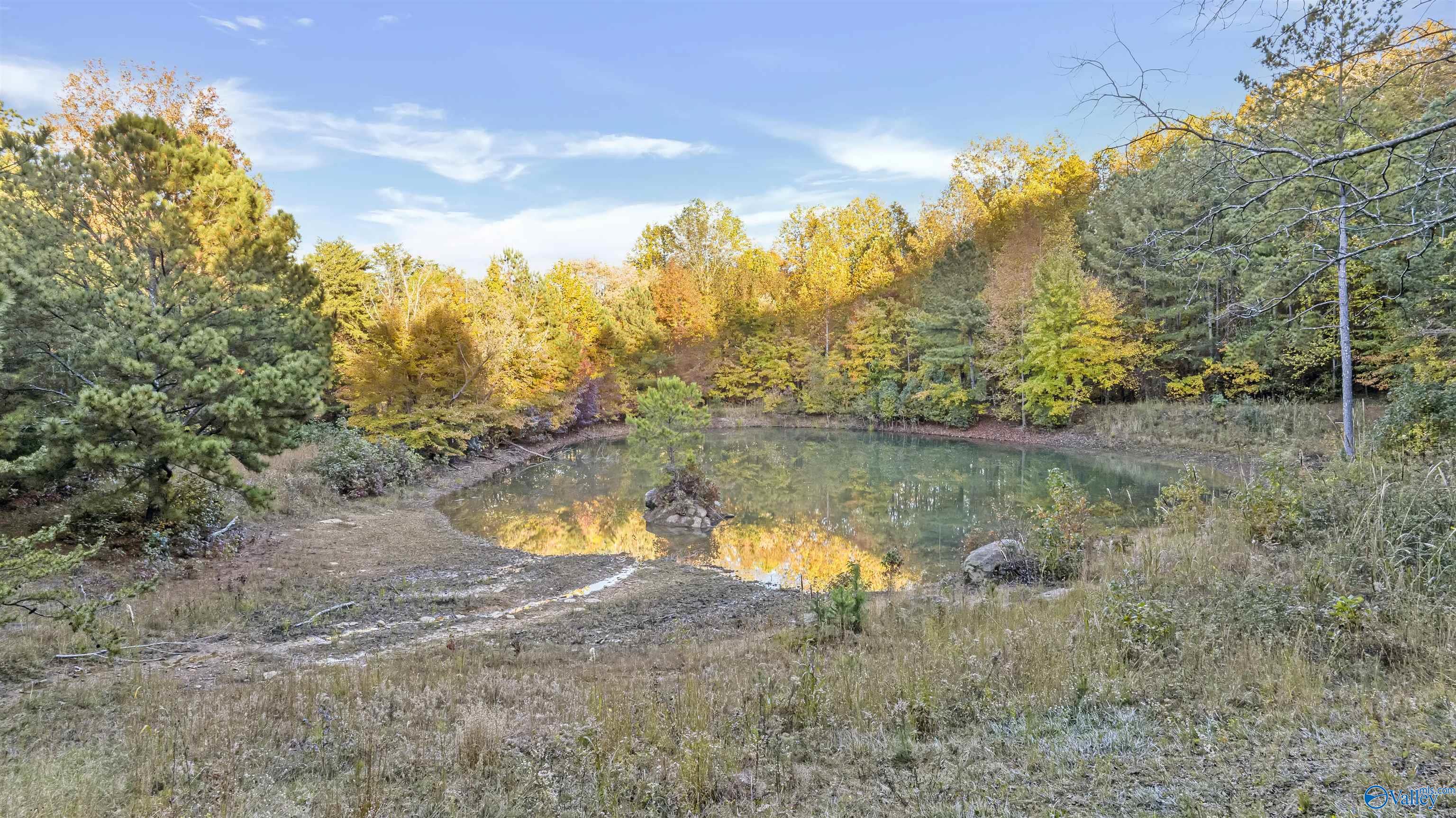 10.57 acres County Road 166