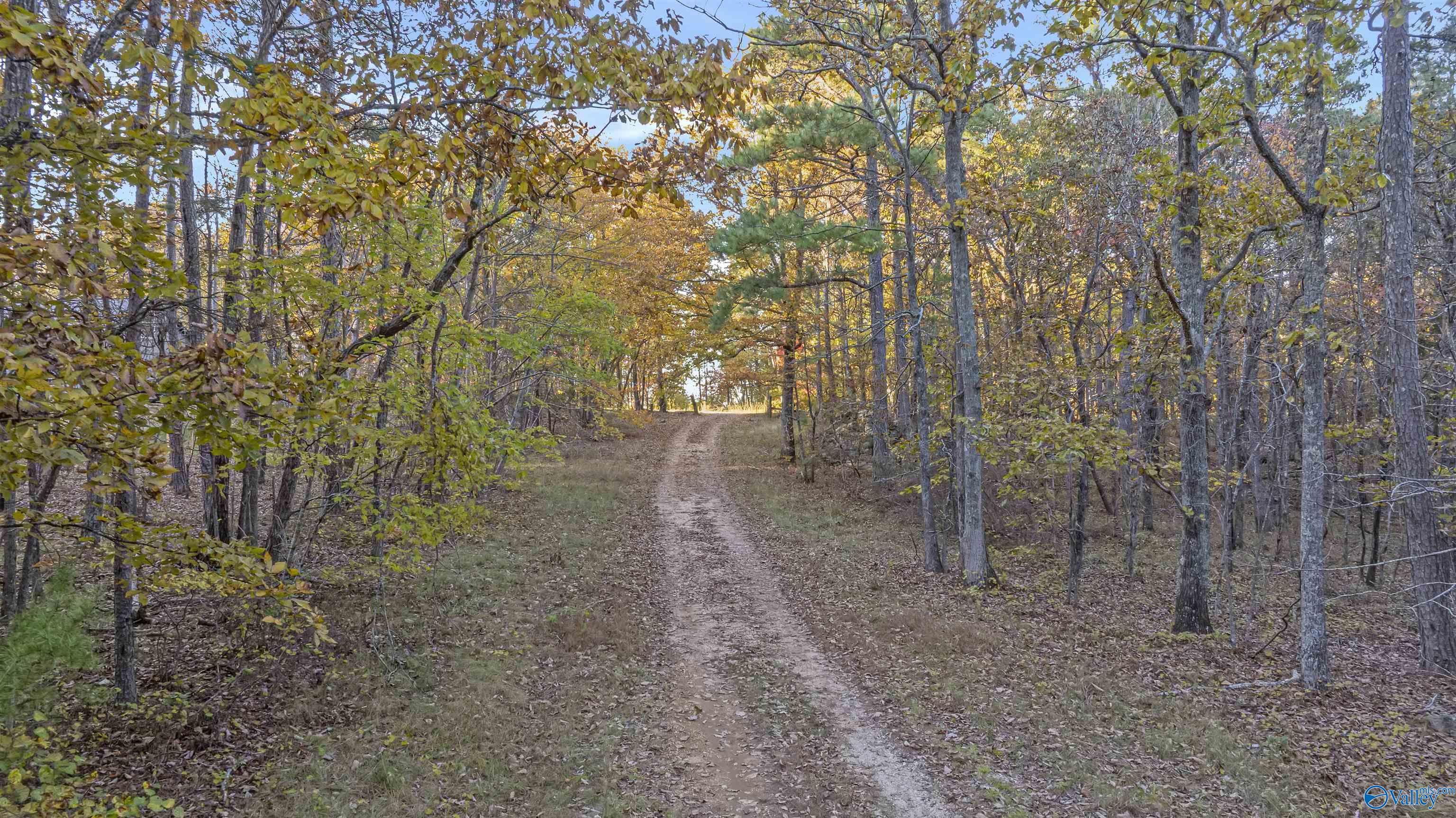 10.57 acres County Road 166