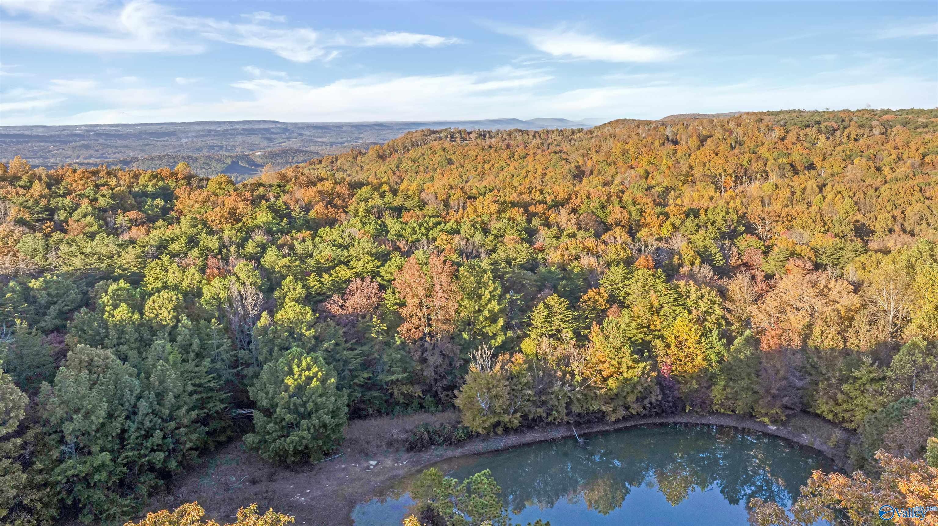 10.57 acres County Road 166