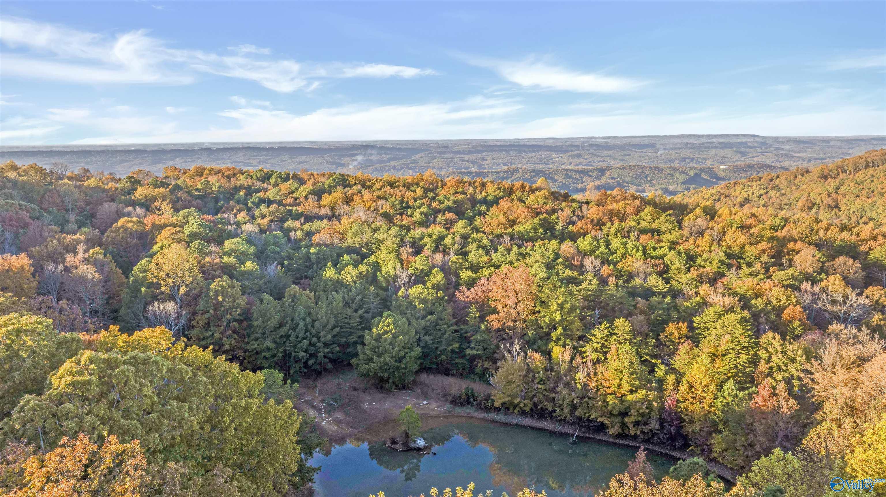 10.57 acres County Road 166