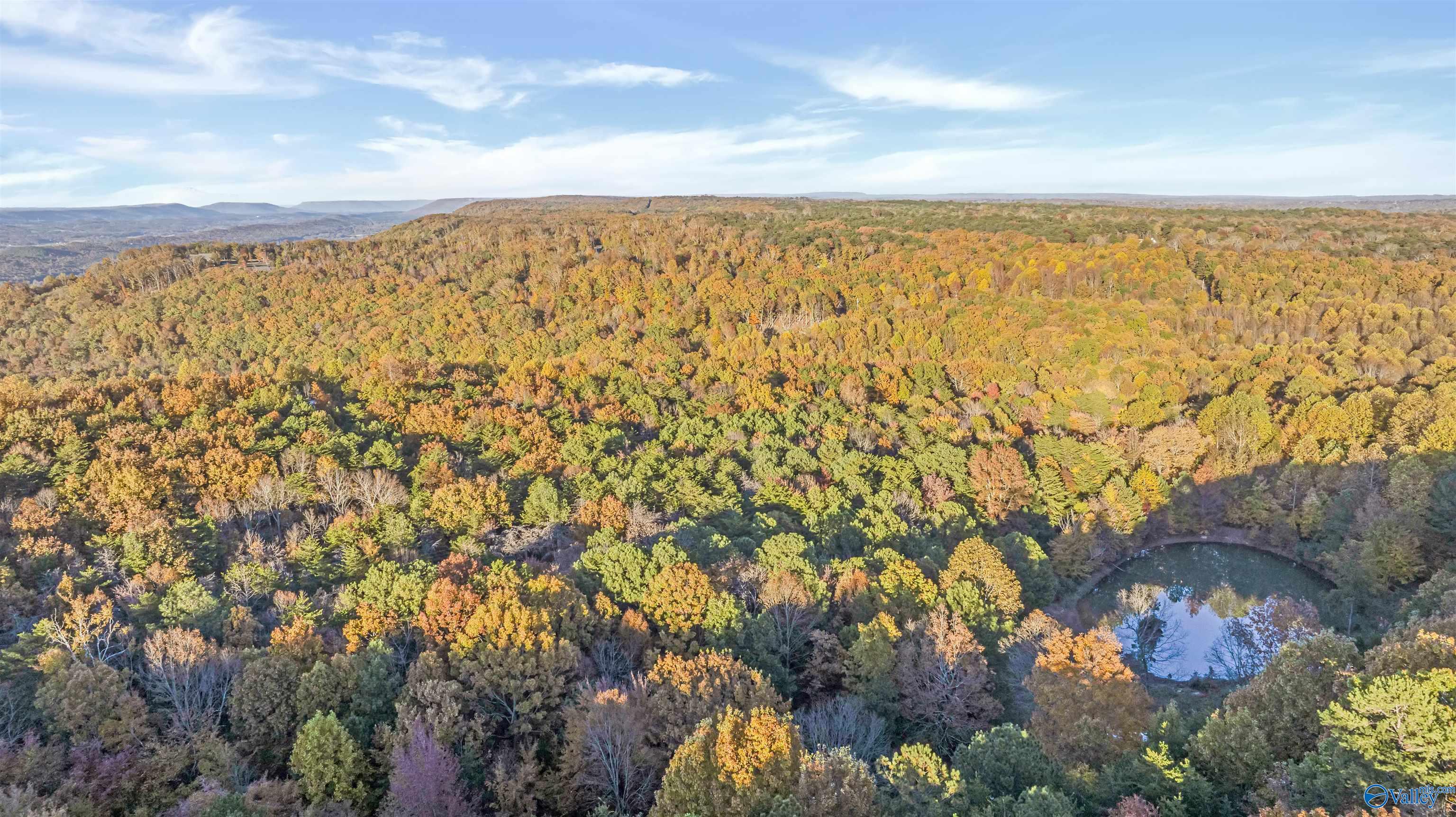 10.57 acres County Road 166