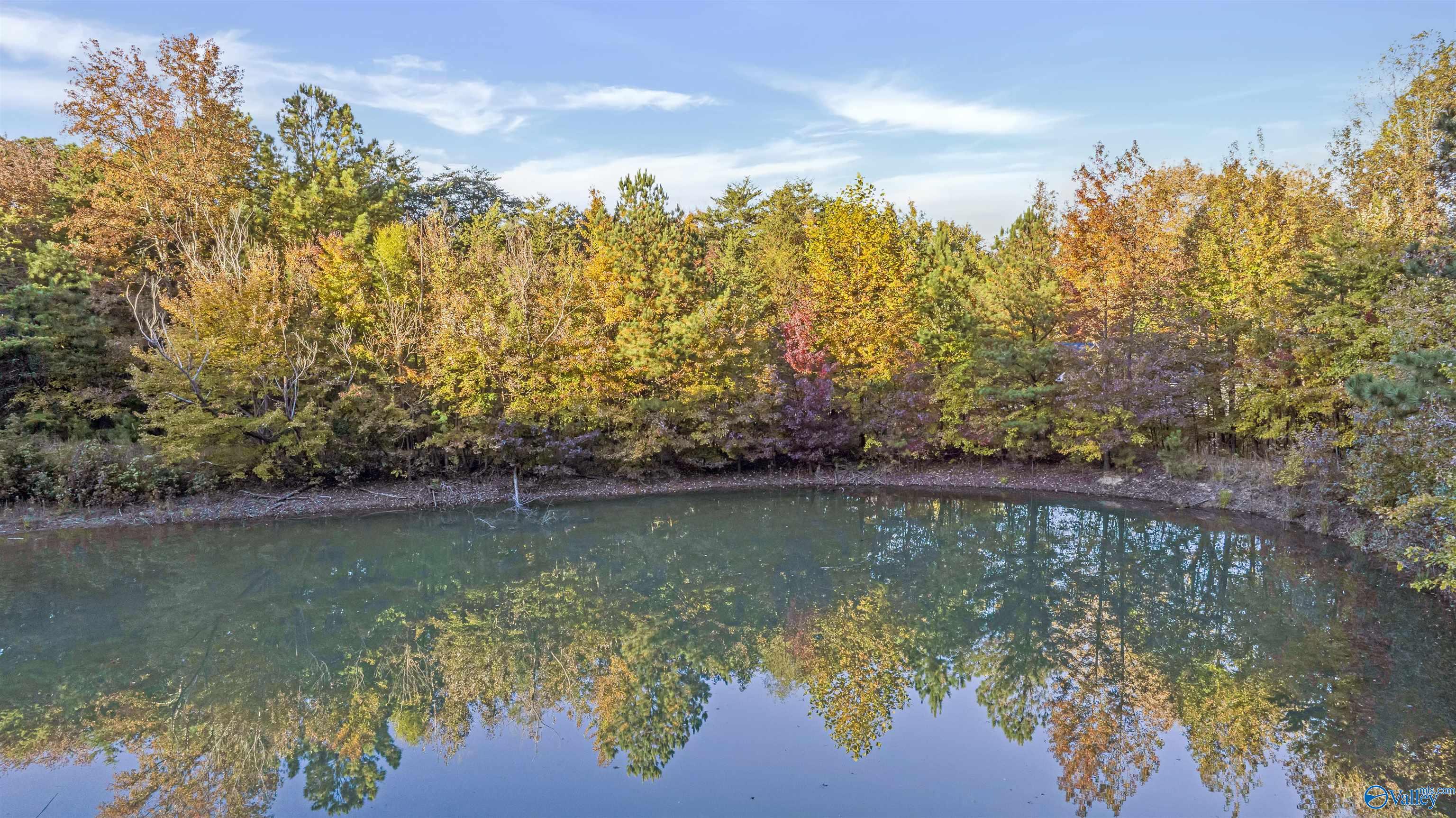 10.57 acres County Road 166