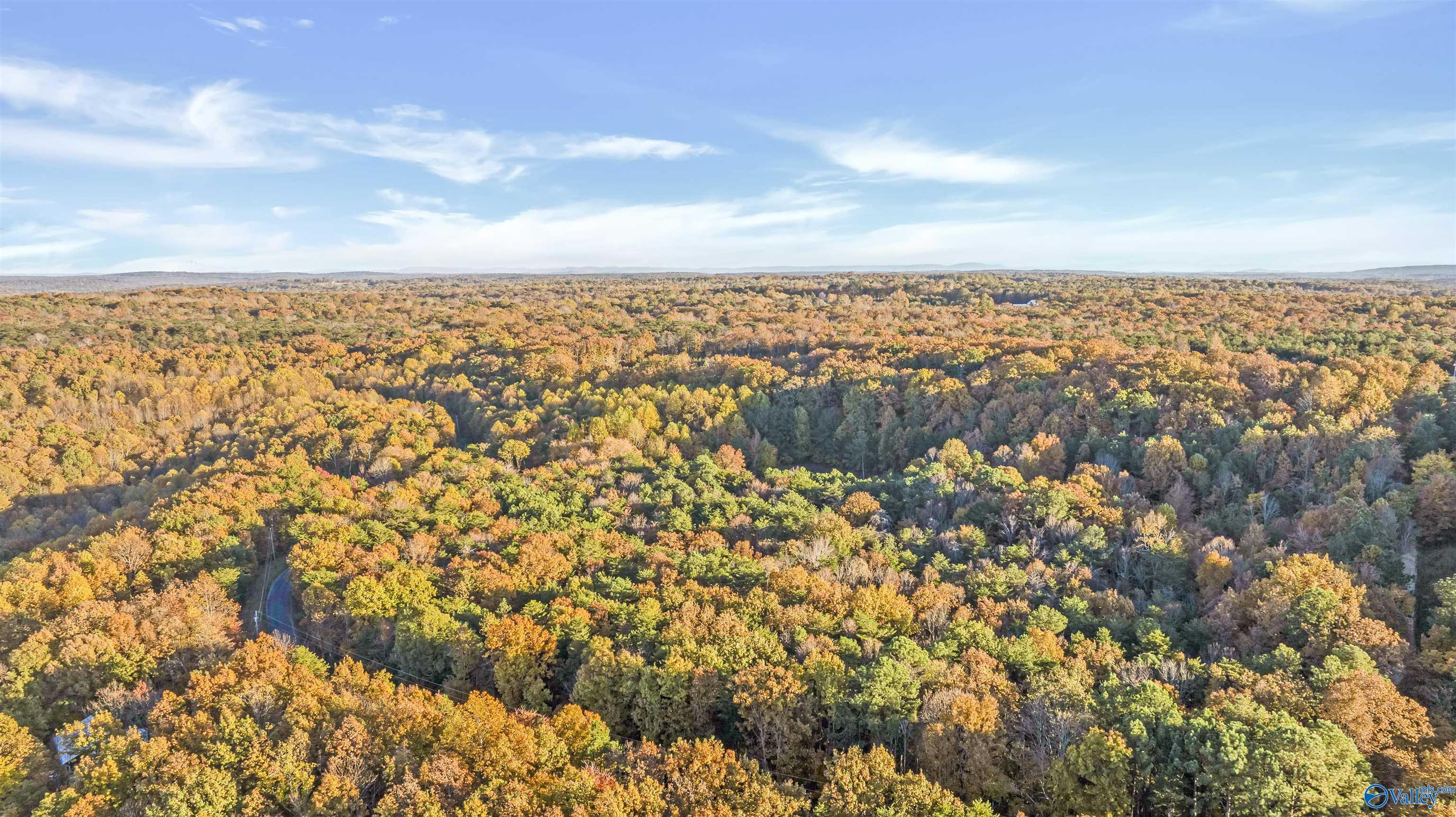 10.57 acres County Road 166