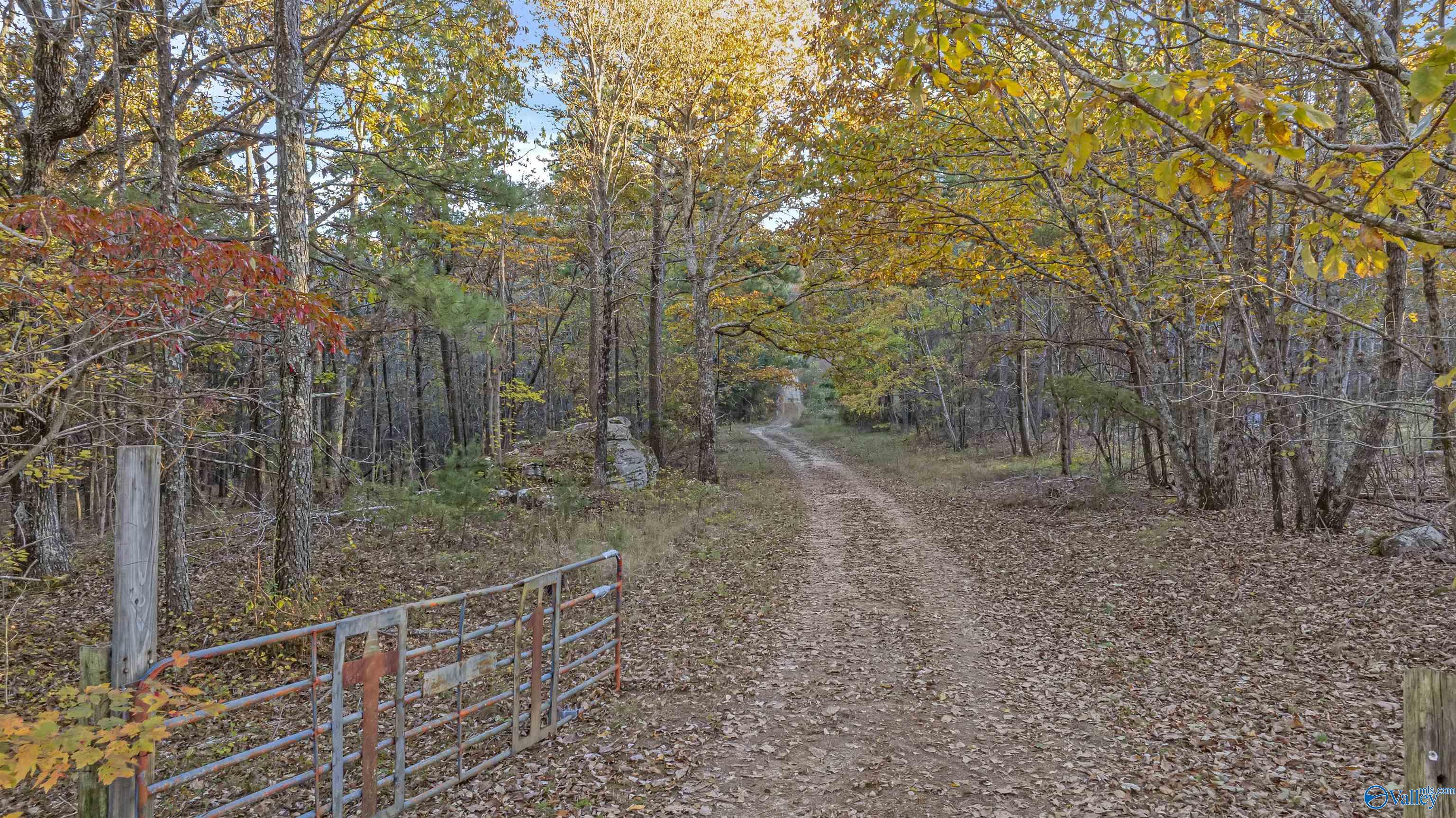 10.57 acres County Road 166