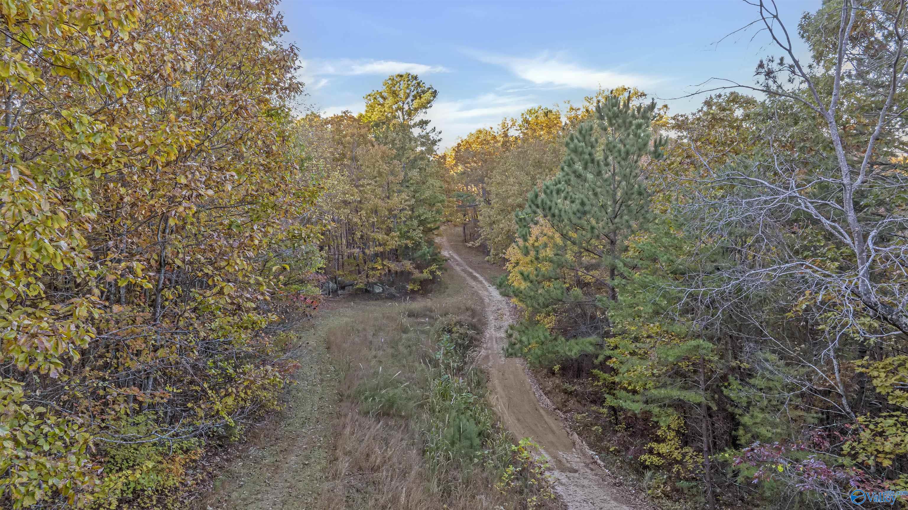 10.57 acres County Road 166