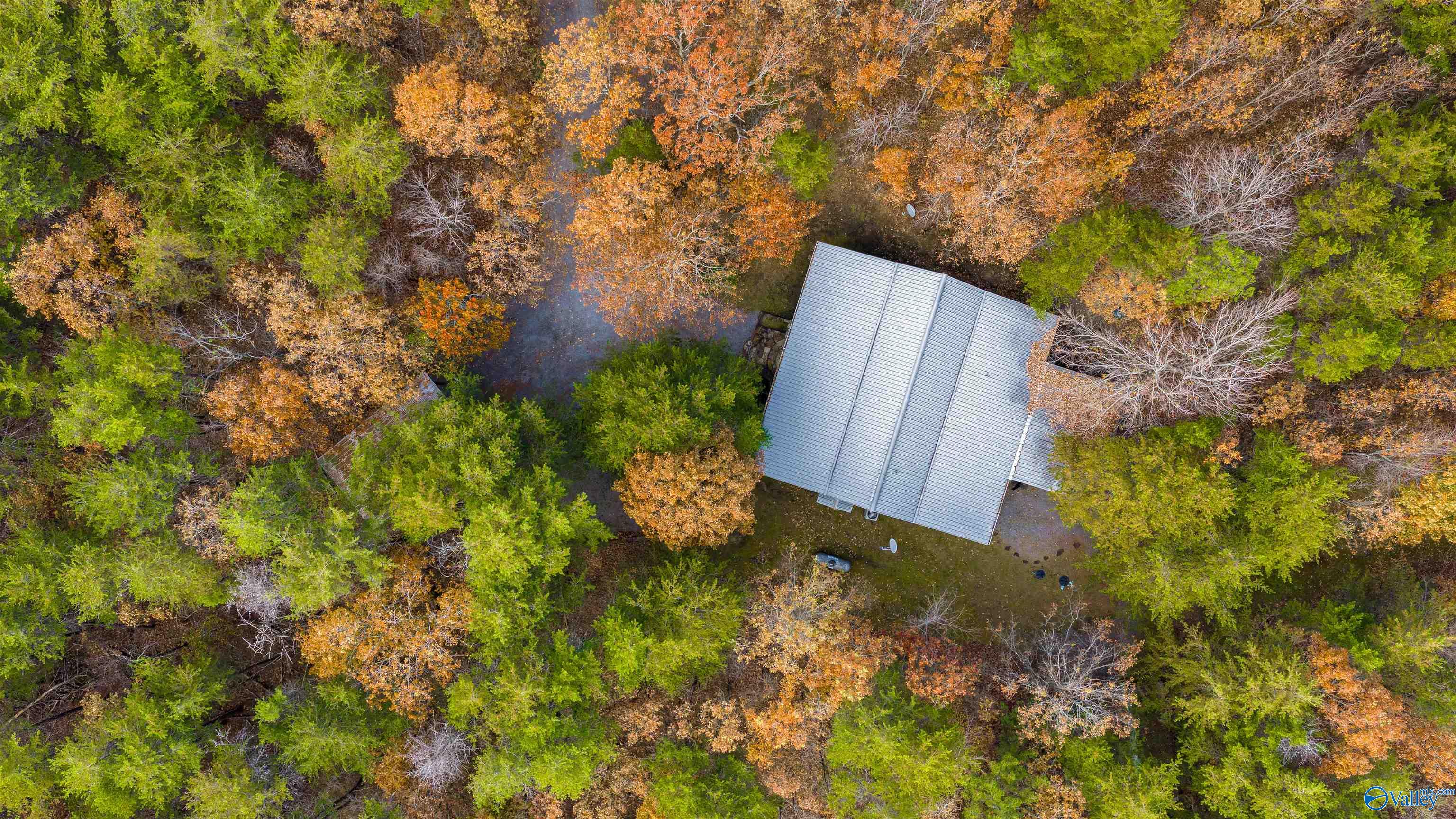 22218 County Road 89