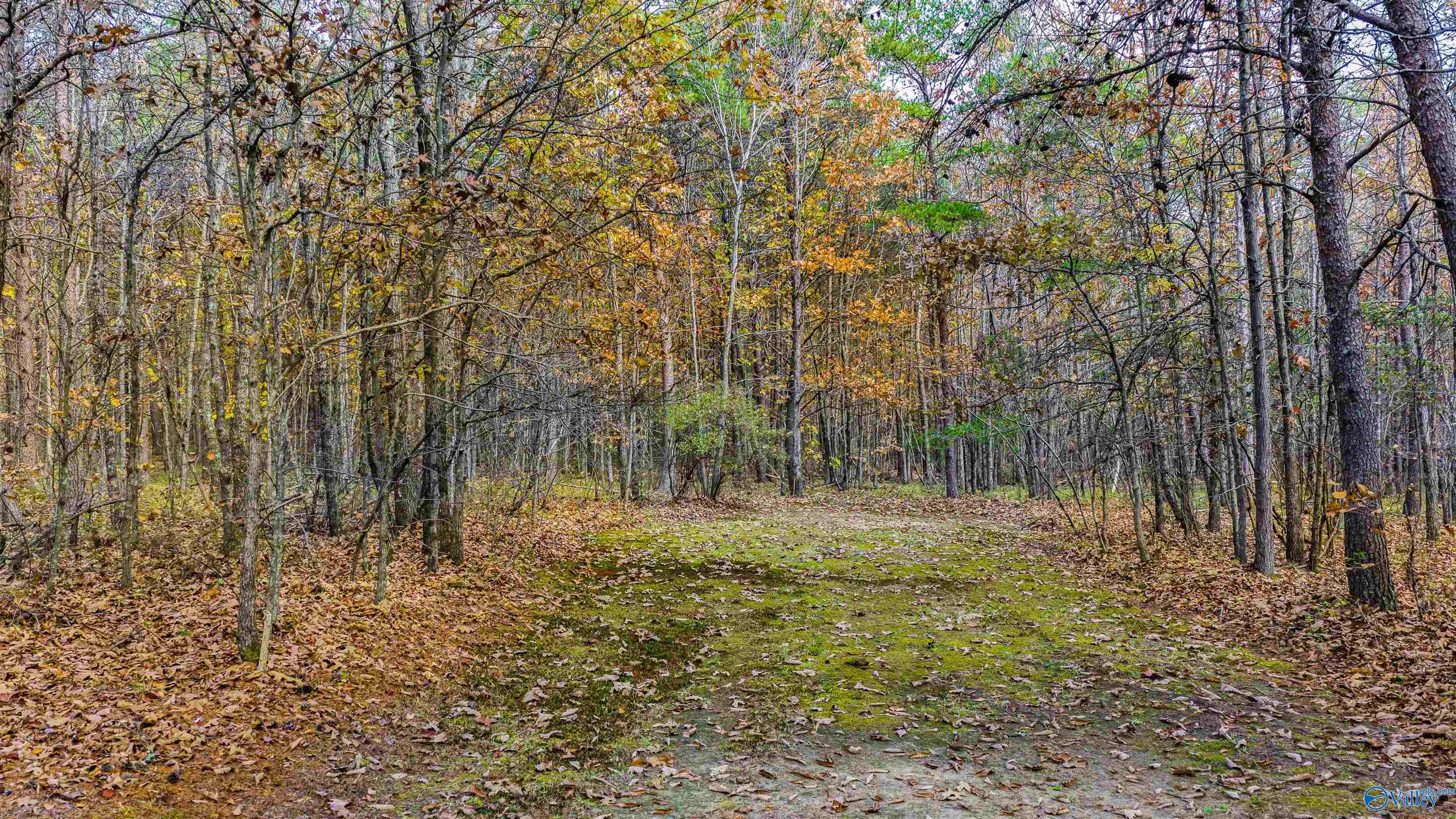 22218 County Road 89