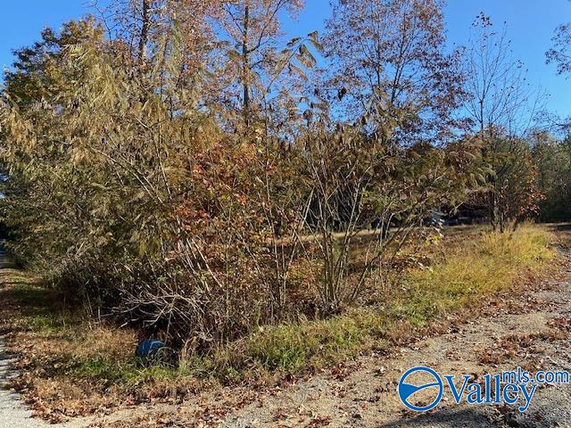 1500 County Road 133