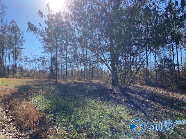 1500 County Road 133