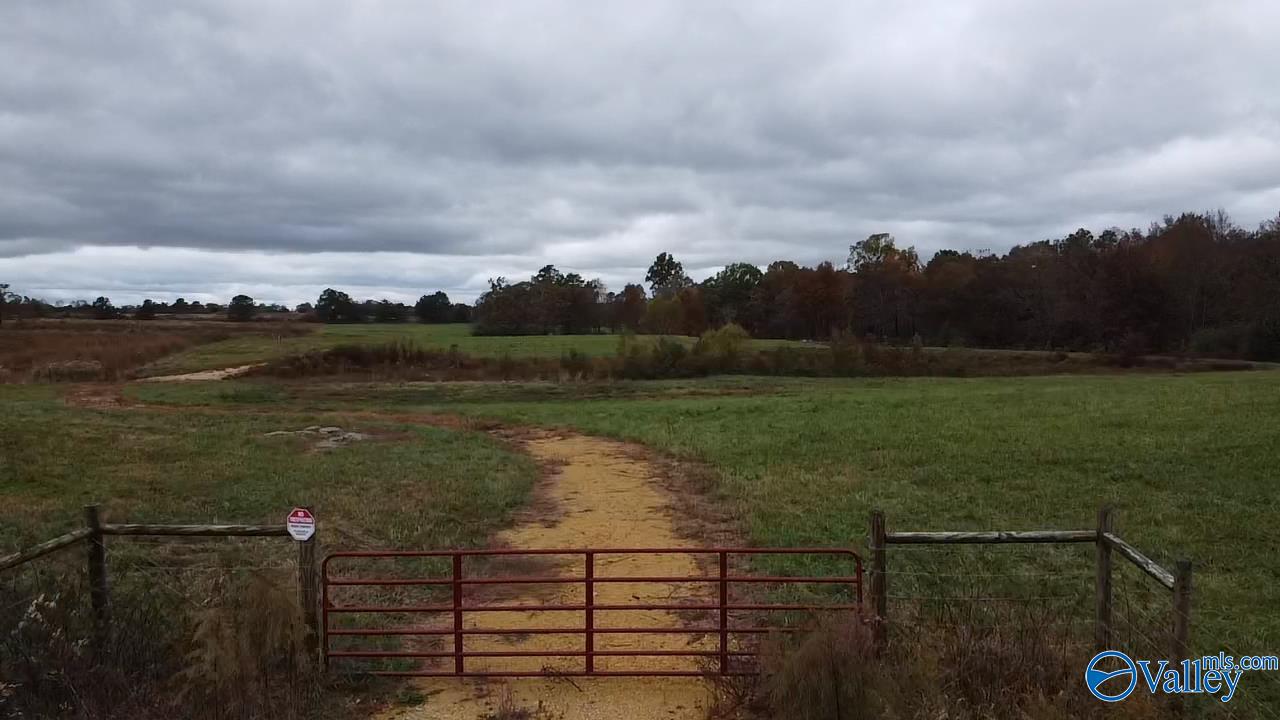 13.9 Acres County Road 429