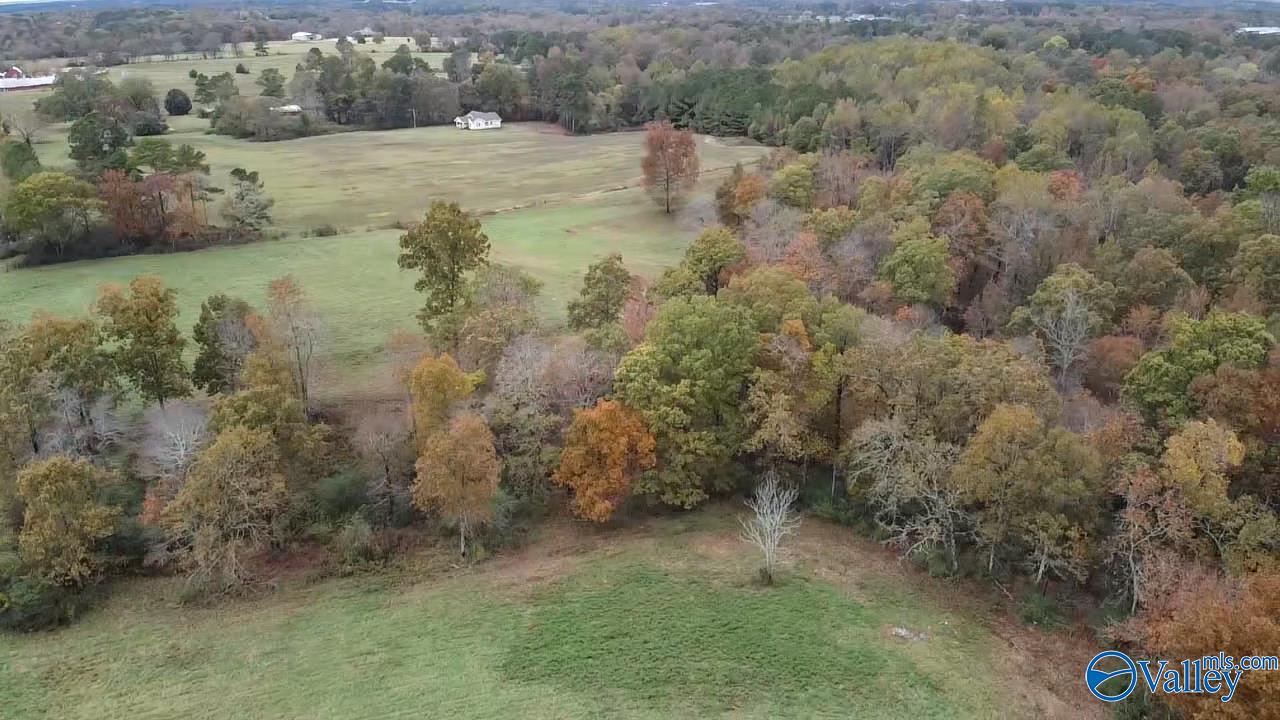 13.9 Acres County Road 429