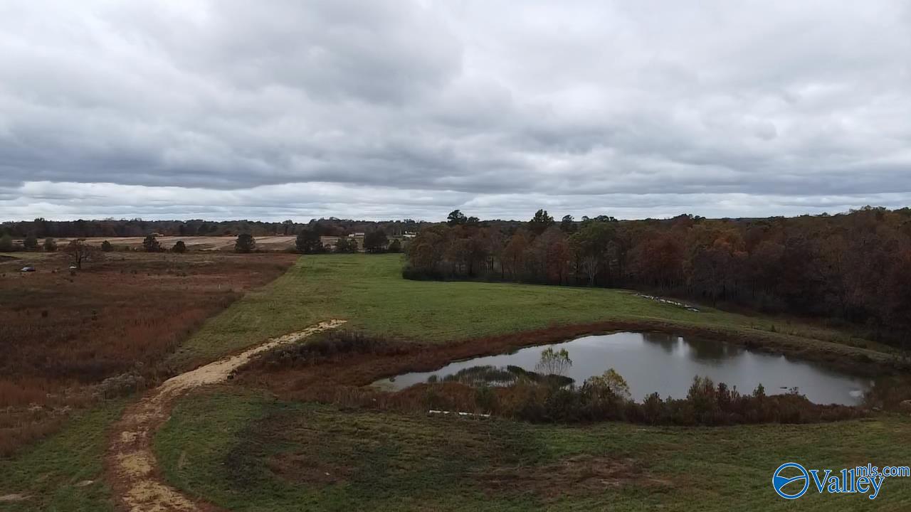 13.9 Acres County Road 429