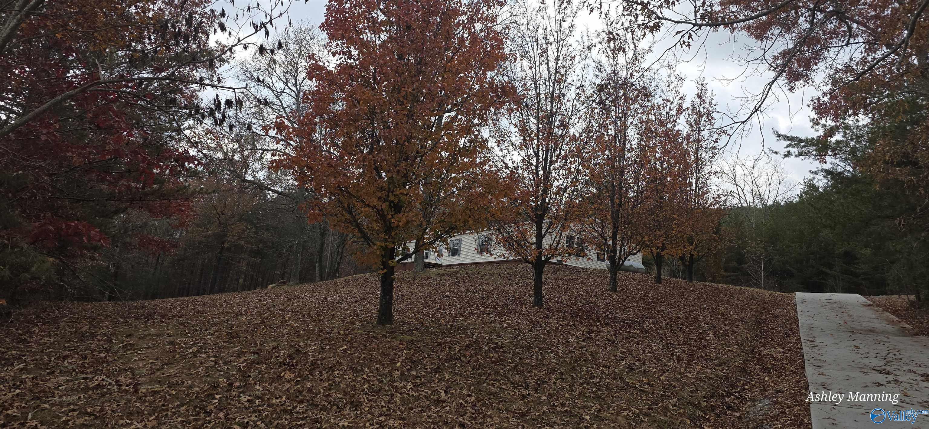 9555 County Road 137