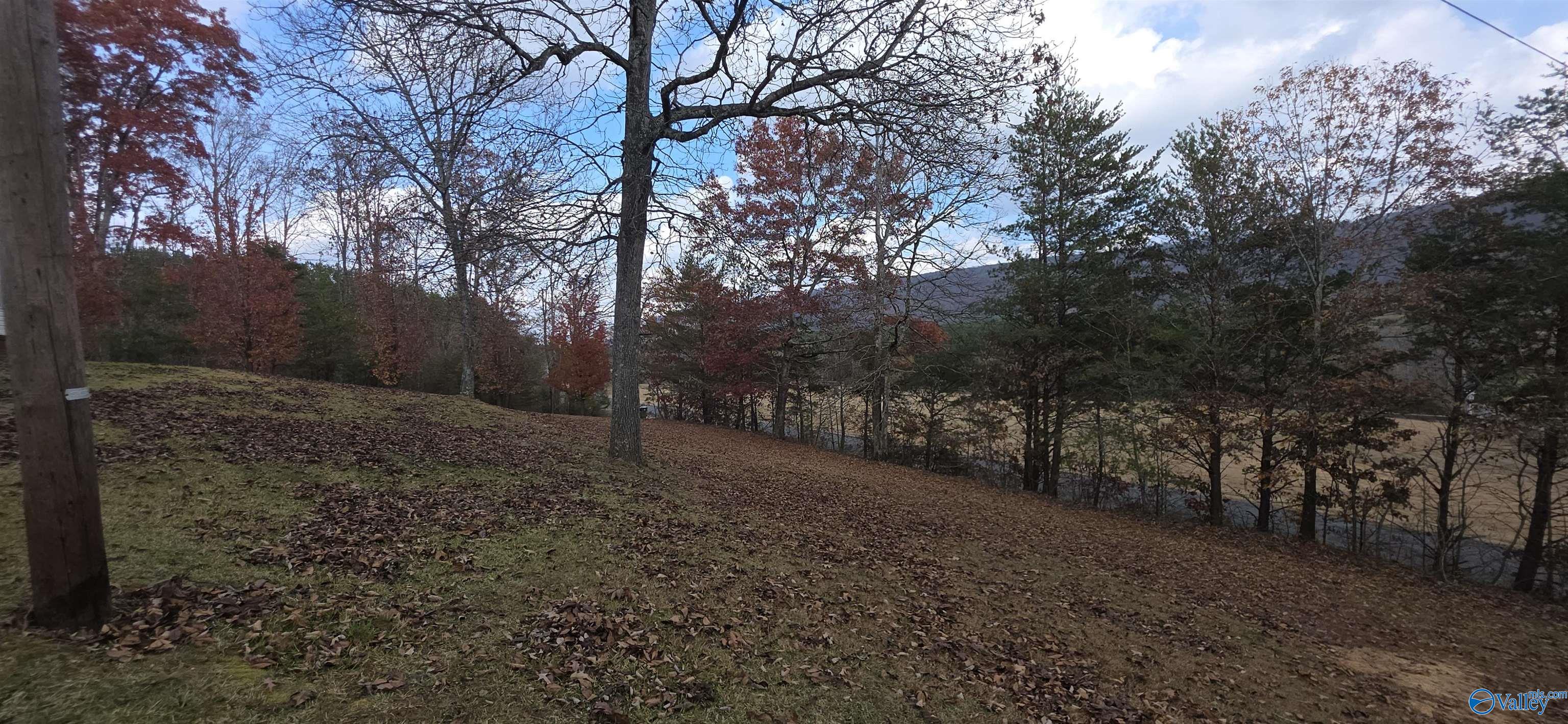 9555 County Road 137