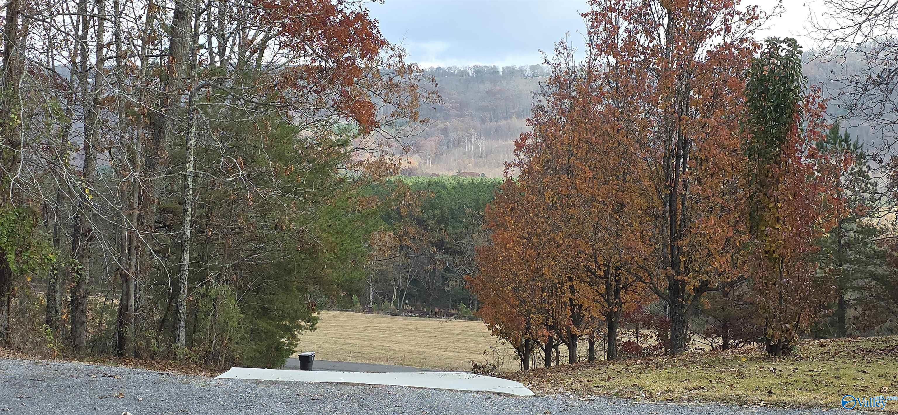 9555 County Road 137