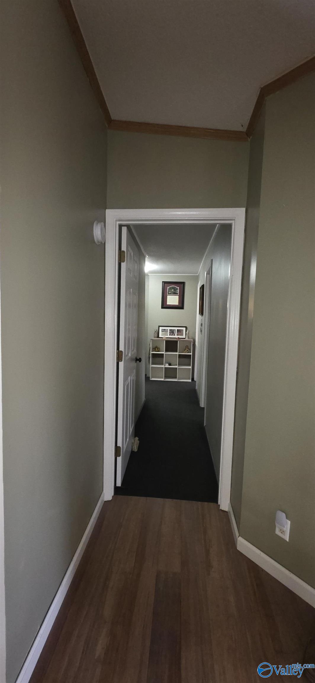 9555 County Road 137