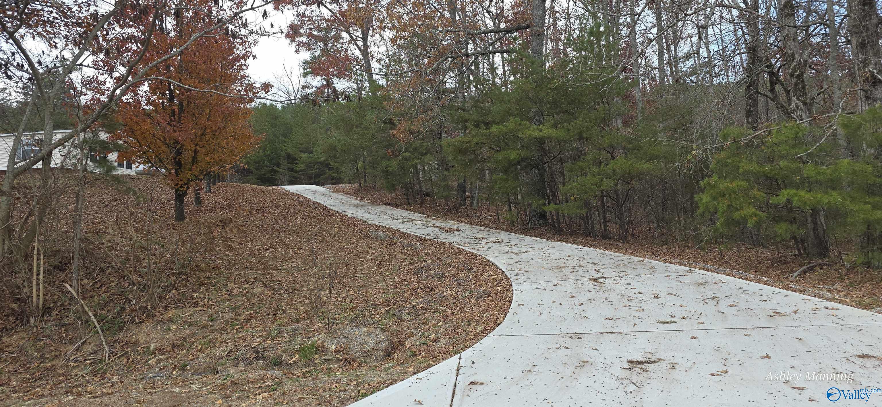 9555 County Road 137