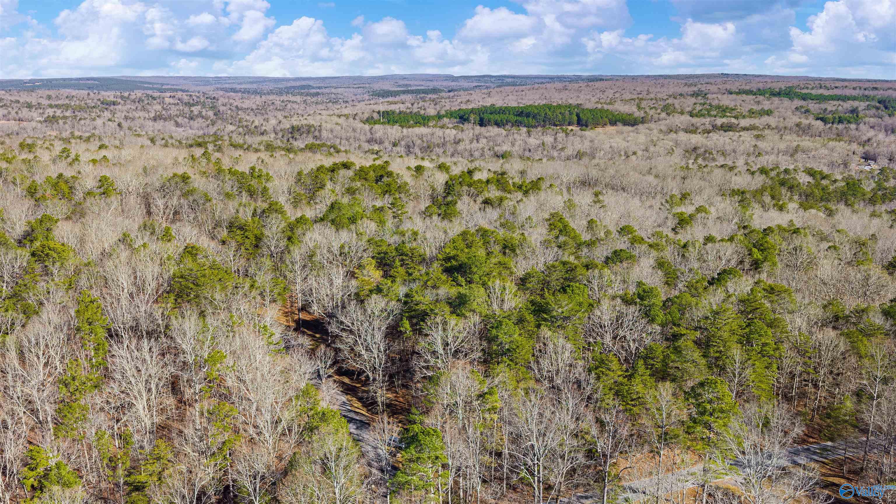 Lot 1 Road 935