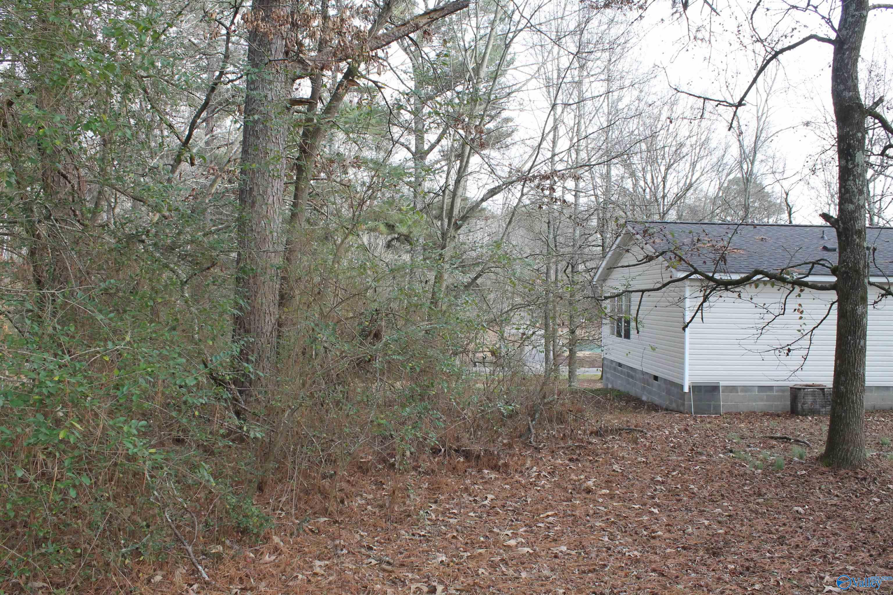 143 Carlyle Road