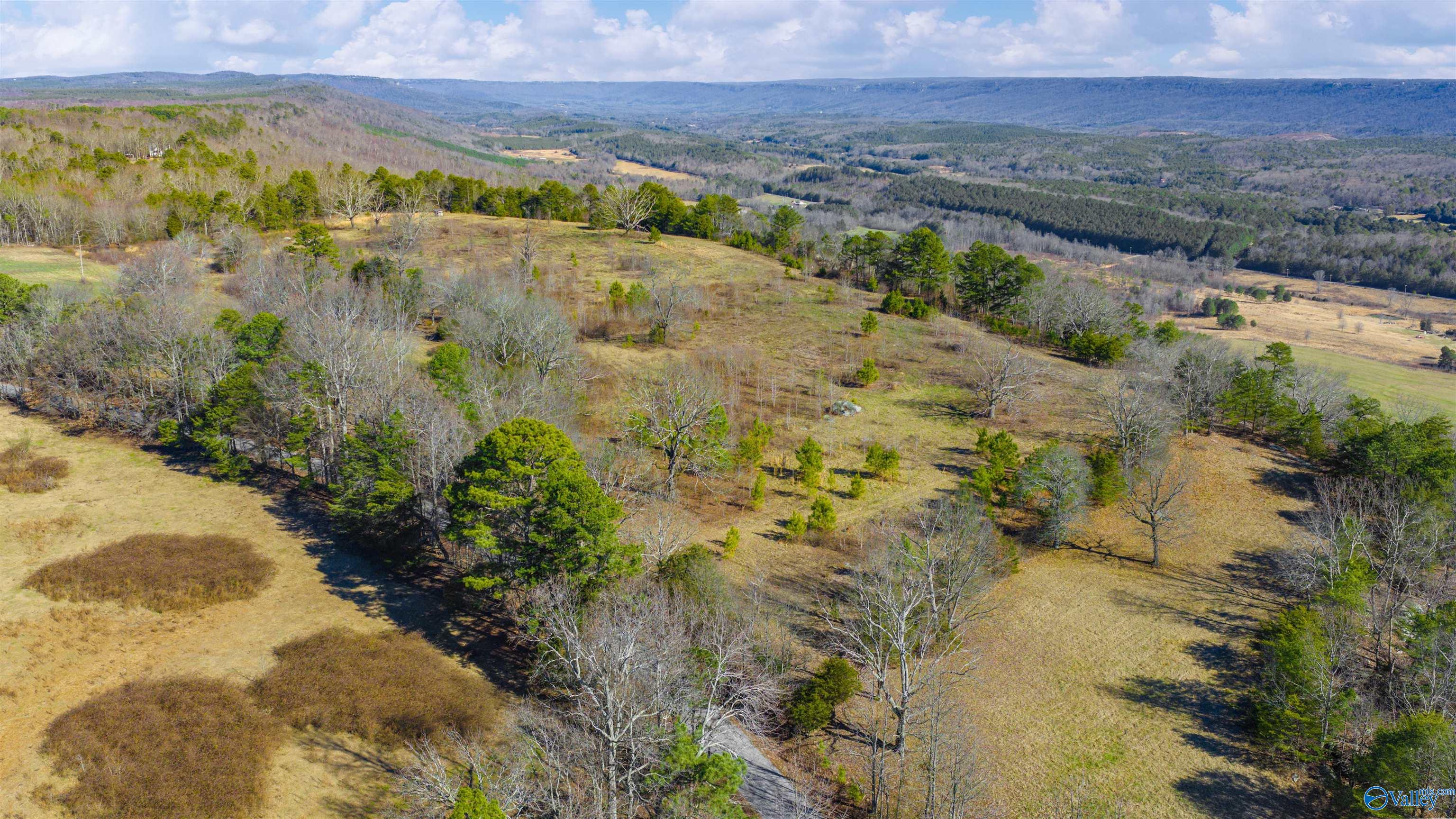 Lot 1 County Road 730