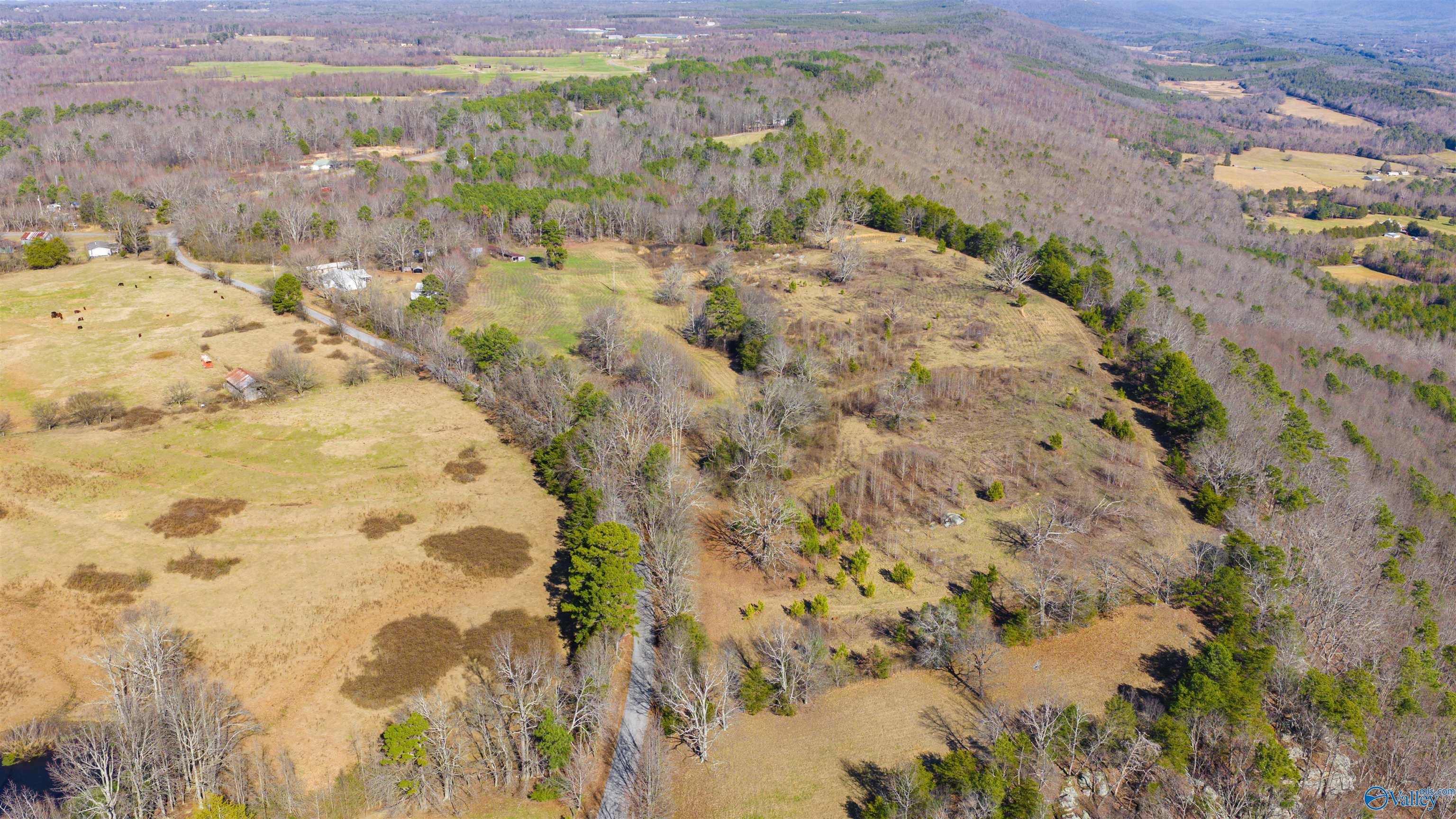 Lot 1 County Road 730