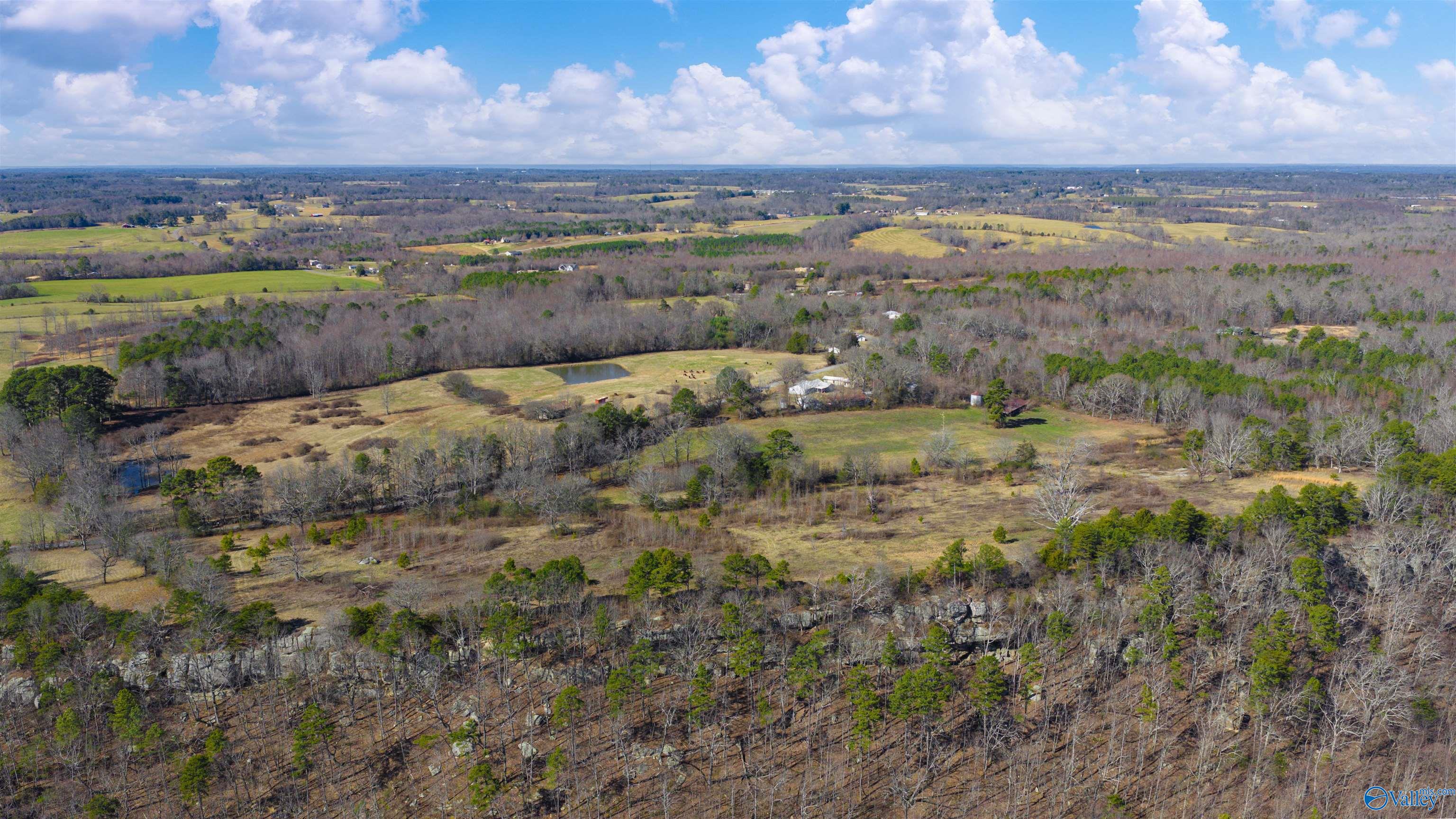 Lot 1 County Road 730