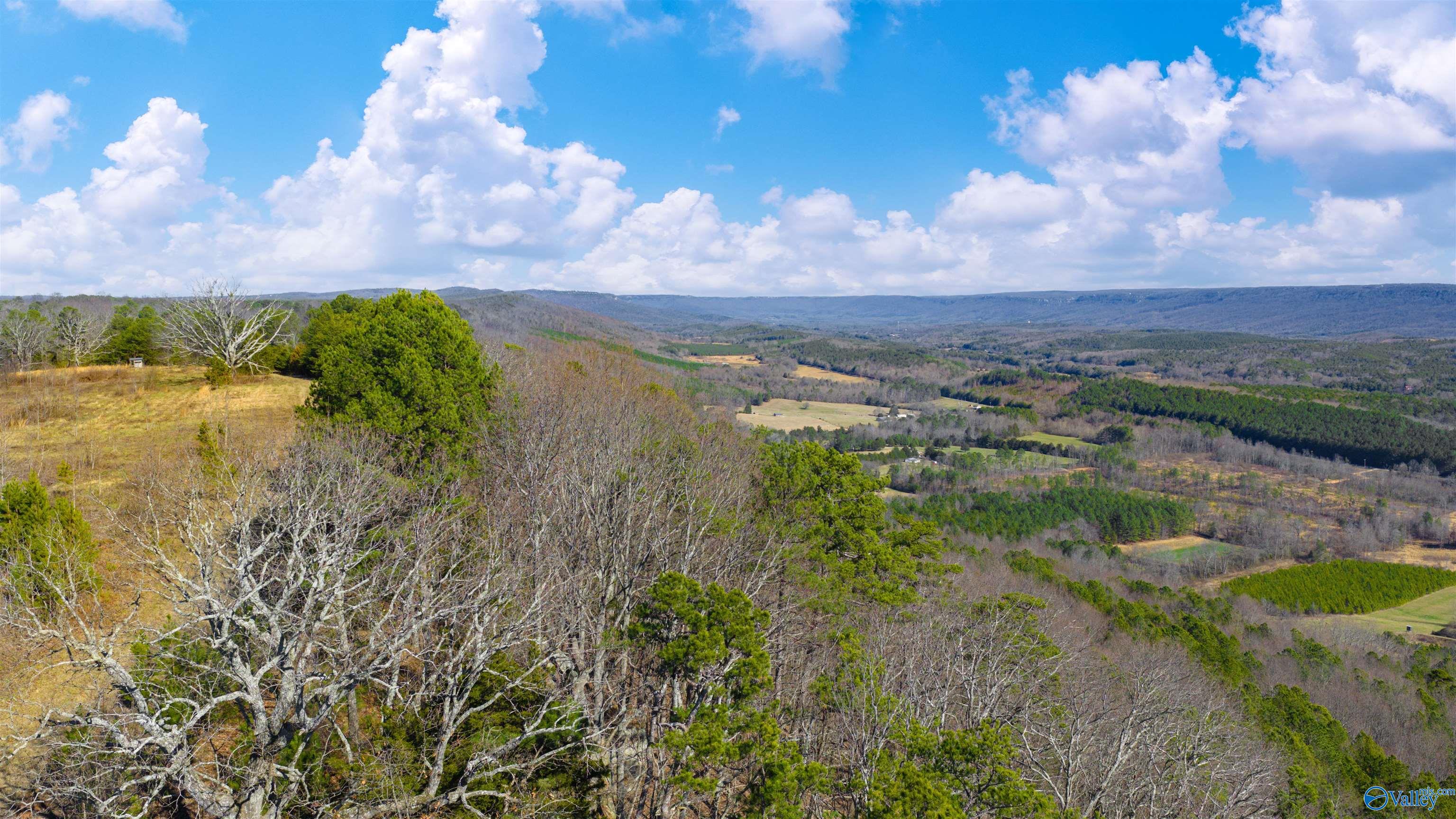 Lot 1 County Road 730