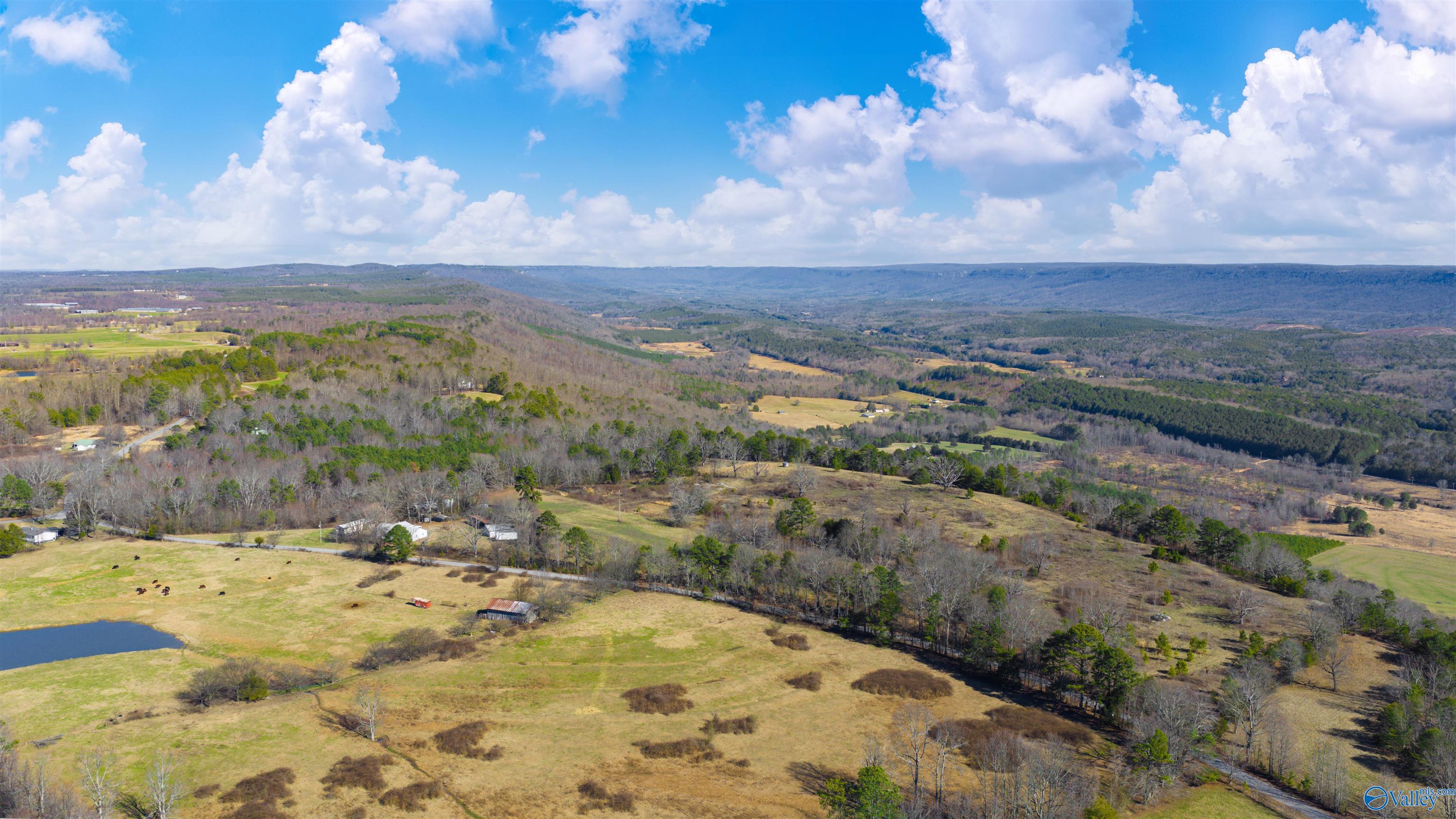 Lot 1 County Road 730